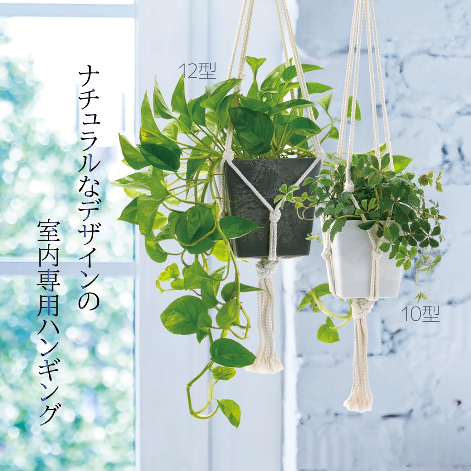 Richell 003318 Planter, Hanging Pot, Botany, Hanging Cube, 10 Shapes, White, Set of 3, Vegetables, Stylish, Outdoor, Soil, Plants, Ornamentals, Plants, Plants, Plants, Bonsai