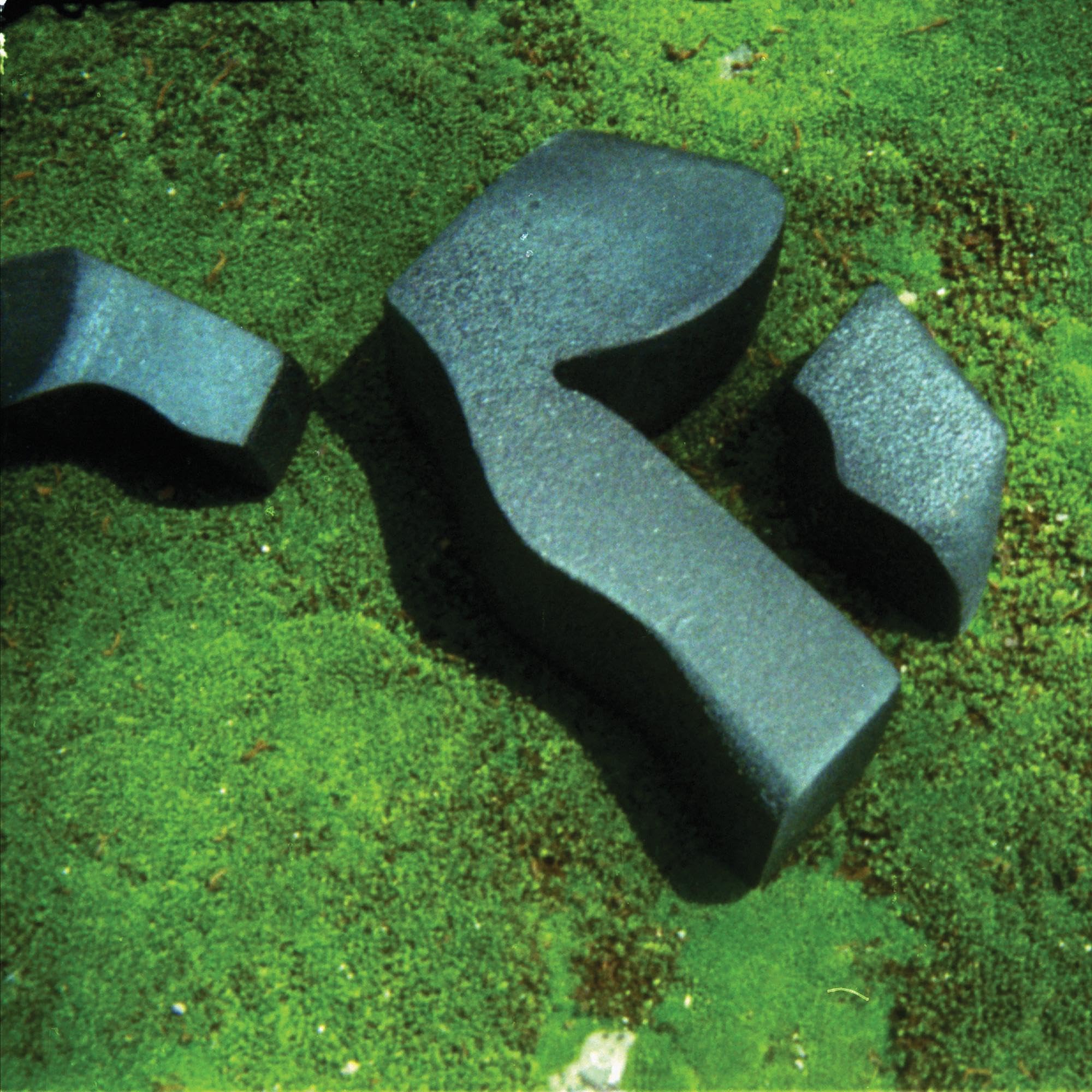 Heart Pressed Between Stones [VINYL]