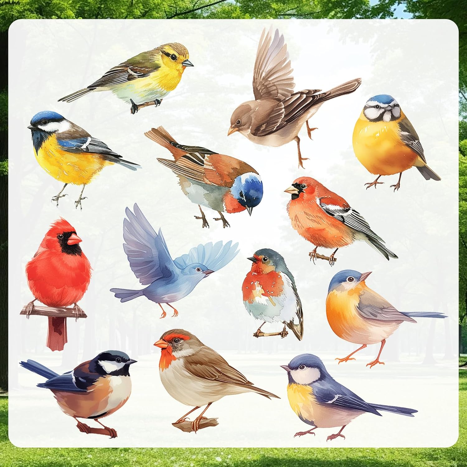 13PCS Multicolor Bird Window Stickers, Reusable, PVC, Traditional Style, Window Stickers for Glass & Windows