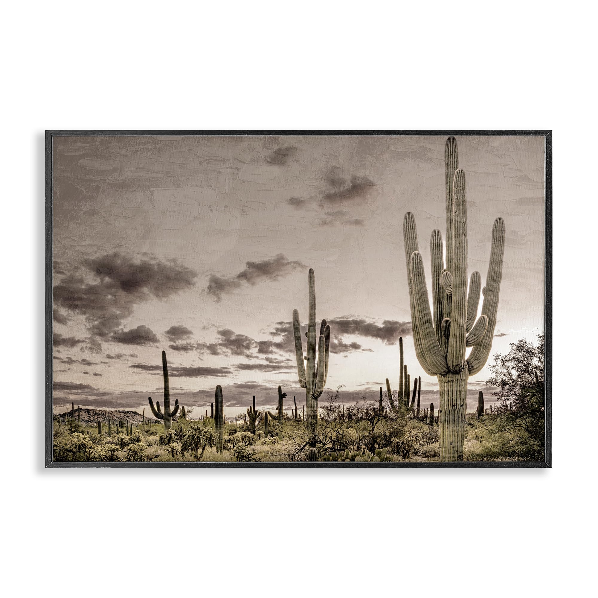 Stupell Industries Midnight Black (Textured) Desert Sky Wilderness Cactus Landscape, 16 X 24 Inch Framed Giclée Print