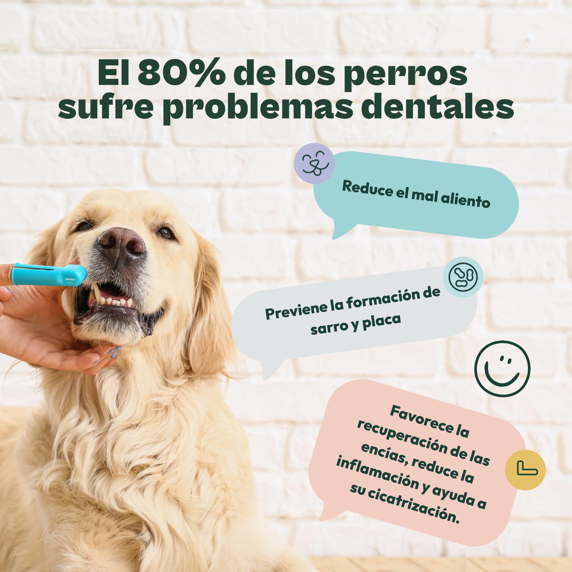 Gooddy - Cuidado Encías y Limpieza Dientes para Perros. Polvos Naturales 180g, Sin Cereales e Hipoalergénico – Elimina sarro, Placa y Mal Aliento. Alga Marina Natural Kelp, Zinc, Menta. 6 Meses Uso