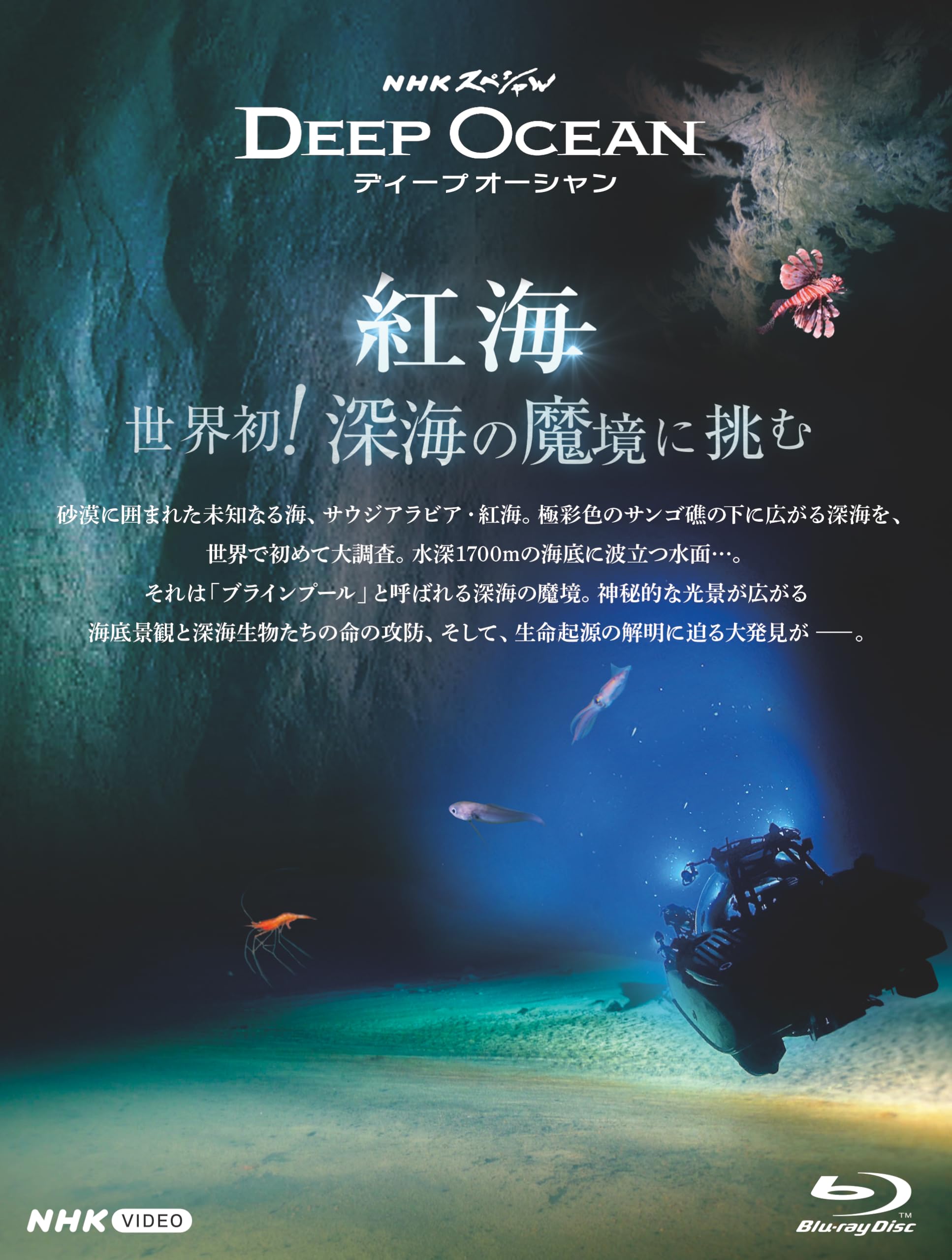 【中古】NHKスペシャル 海 知られざる世界 第5集 クジラだけが知っている [DVD] ヨドバシ.com - NHKスペシャル 海 知られざる世界 第5集 クジラだけが