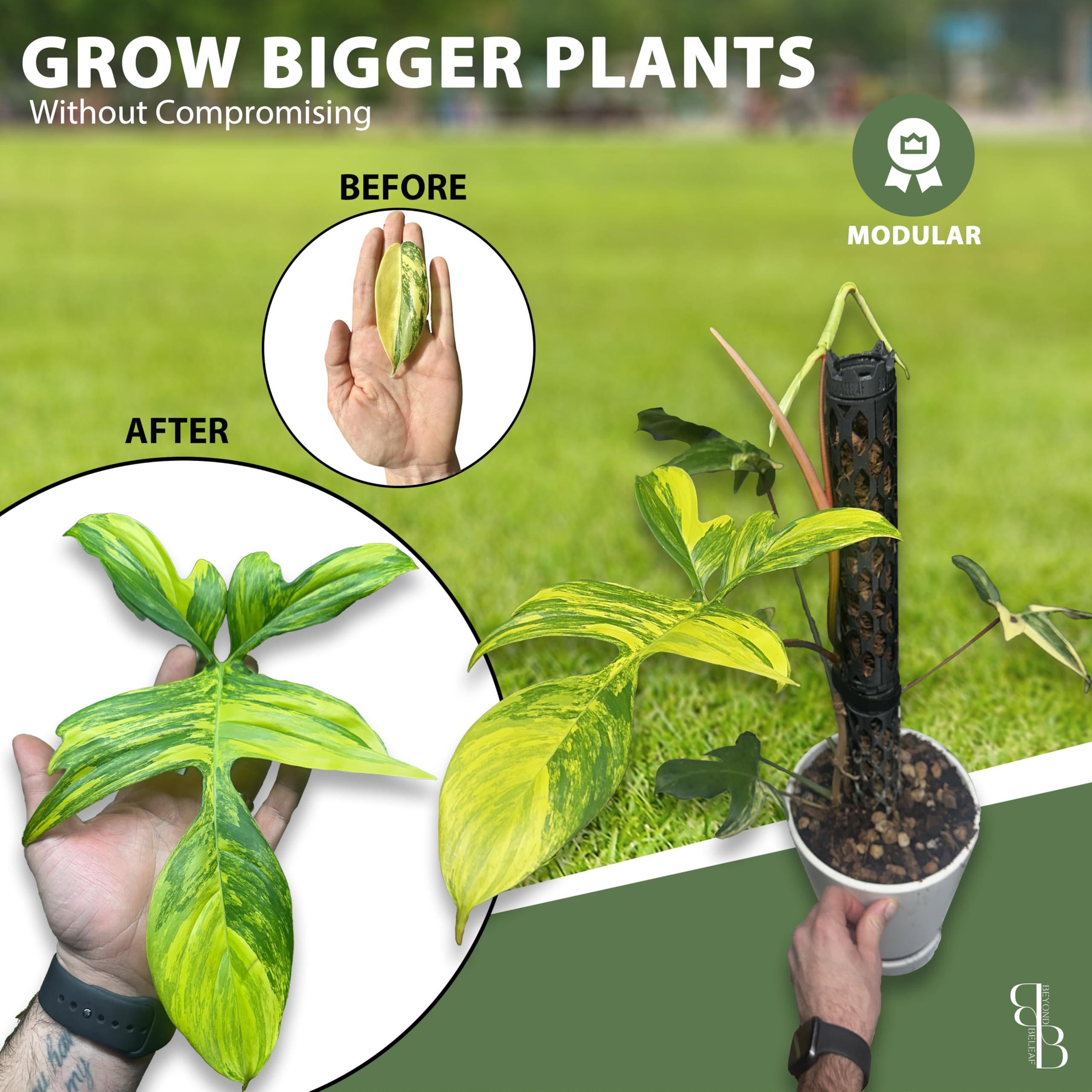 Amazon | プロ用自己散水植物サポートポール 植物を登るために