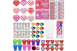 224-Piece Valentine's Classroom Exchange Gifts and Goodies Kit