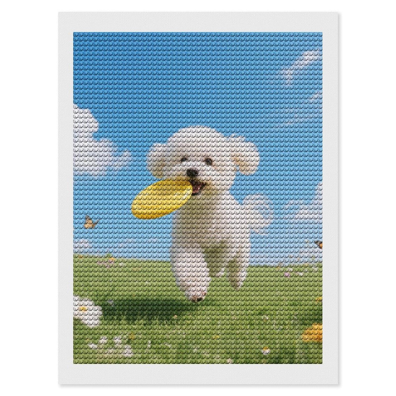 DWVTSLH Bichon Frise Dog Diamond Painting Kits for Adults, Personalized Diamond Photo Art Full Drill, DIY 5D Diamond Art Painting Kits for Beginners, Home Wall Decor 12"x16"