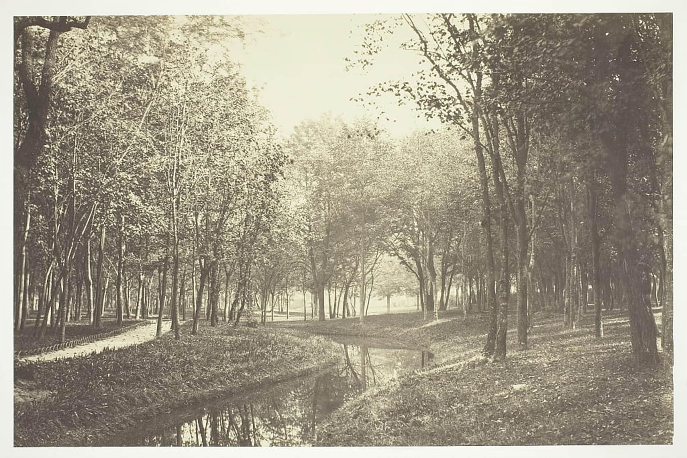 Artxlxxbn No Frame Famous Painting Canvas Artwork Graffiti Print Trees Near Water In The Bois De Boulogne By Charles Marville Portrait Canvas Image For Home Decor 60X90cm
