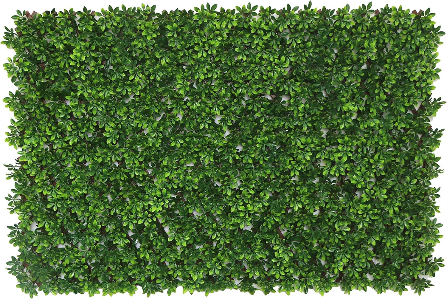 eXtreme Artificial Beech Leaf Screening Trellis | 2m x 1m Expandable Privacy Hedge for Gardens, Balcony, and Terraces | Realistic, Weatherproof, and UV-Stabilized Decorative Fencing Panel