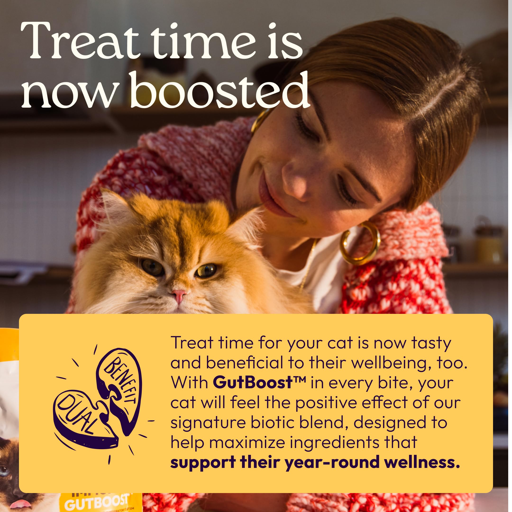 New! WellJoy Cat Treat Immune+ GutBoost | with Lysine | Supports a Healthy Respiratory System & Immune Defenses | Dual-Benefit Formula | Vet Formulated | Made in USA | Real Chicken | 120 Soft Chews - image 4