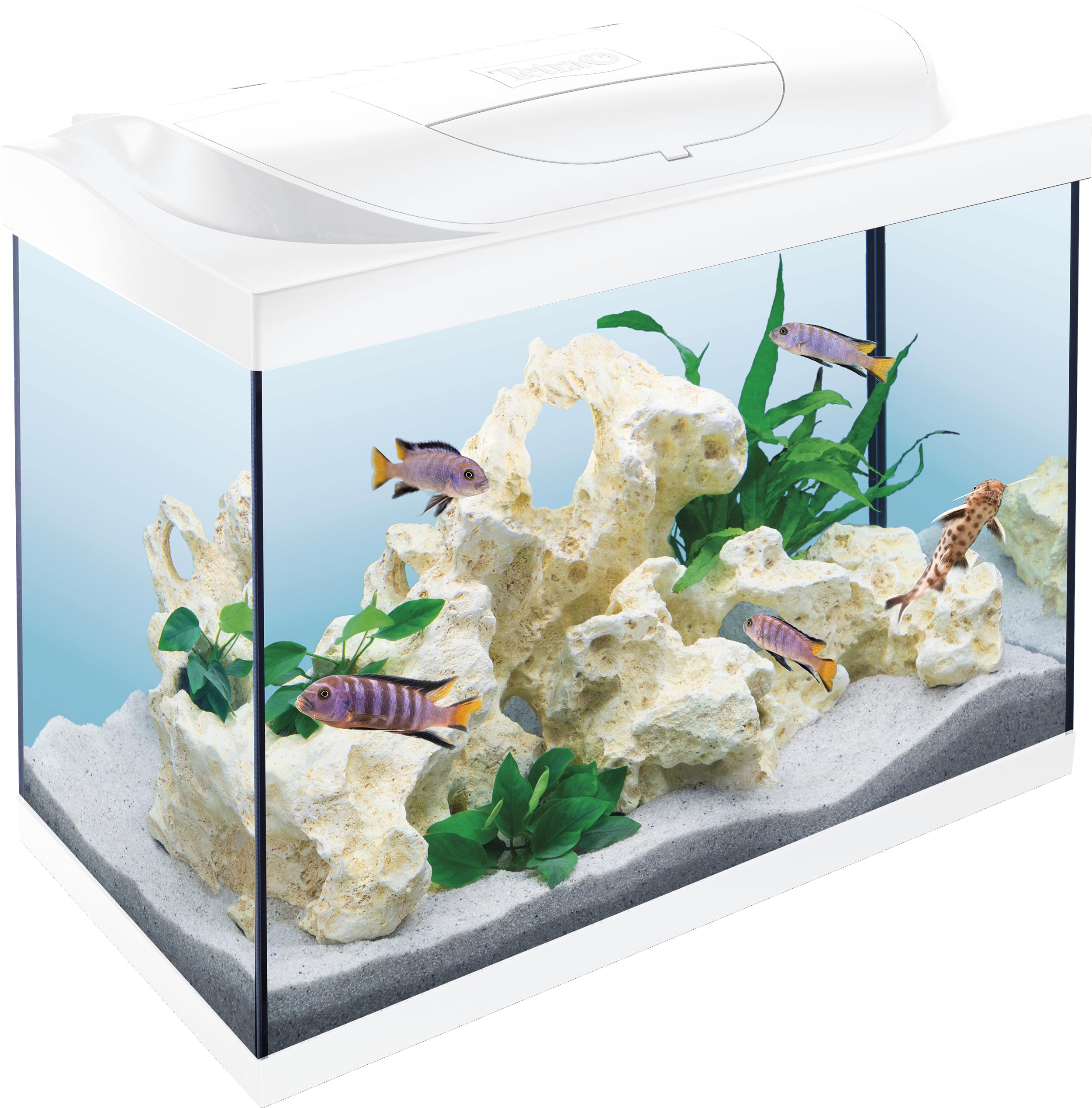 Tetra Starter Line LED White 80L