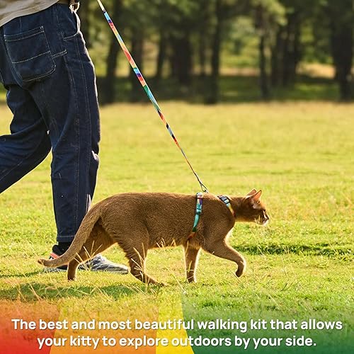 Miniatura 2 de PetThem Juego de arnés y correa para gatos, arnés ajustable a prueba de escape, cómodo, suave, ligero, de uso seguro y fácil, arnés de viaje para