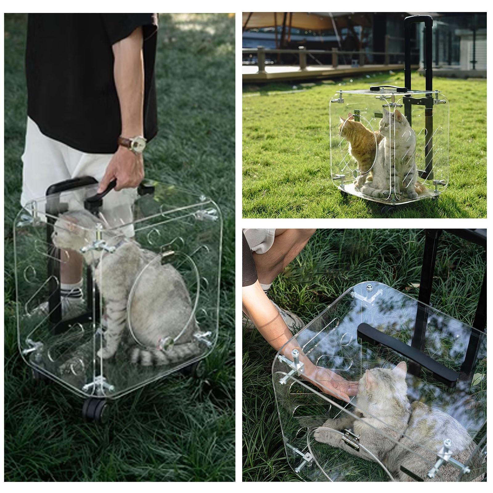 Maleta para Gatos con Ruedas y Varilla Telescópica, Trasportines Gato Grande, Transpirables, Fáciles de Interactuar, Transportines Mascotas Rigido para 1-2 Gatos
