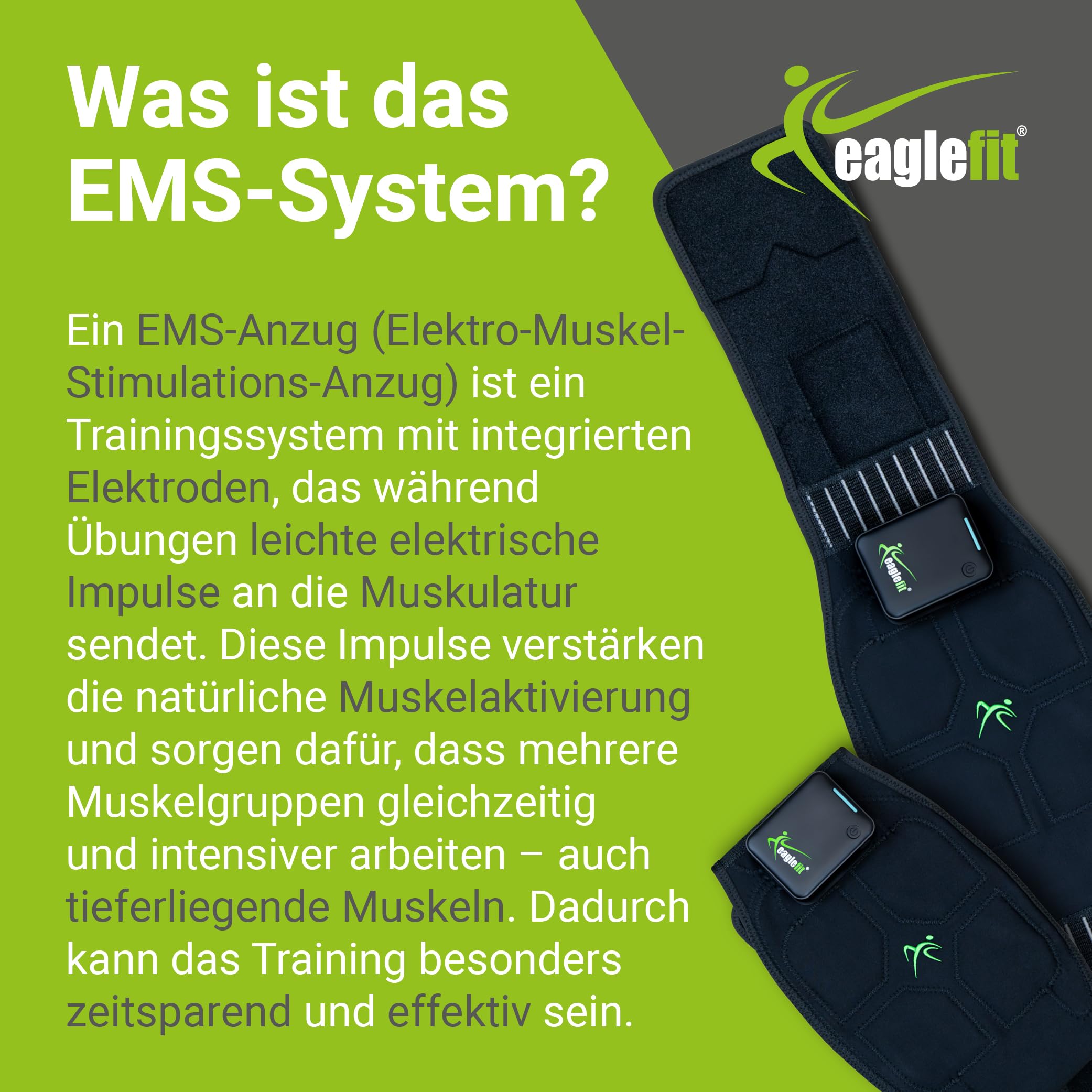 eaglefit Premium EMS-Belt 2.0 Bauchmuskeltrainer mit 6 Elektroden - Bauchgurt für Muskelaufbau & Muskelstimulation, Gürtel für Bauch & Rücken, Bauchtrainer, Rückengürtel Fitness - inkl. App & Powerbox