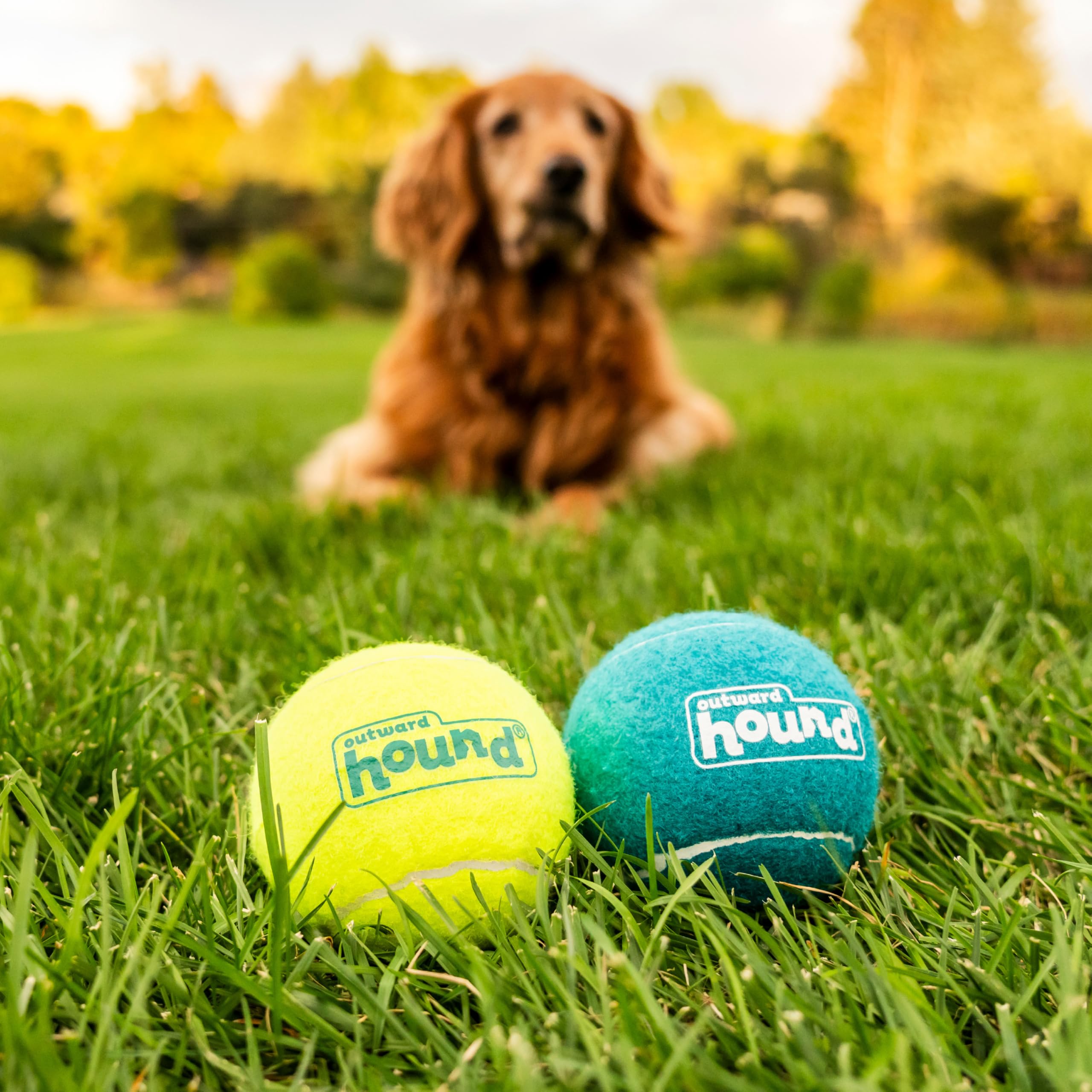 Outward Hound Piszcząca zabawka dla psa Ballz Fetch, duża, 2 szt