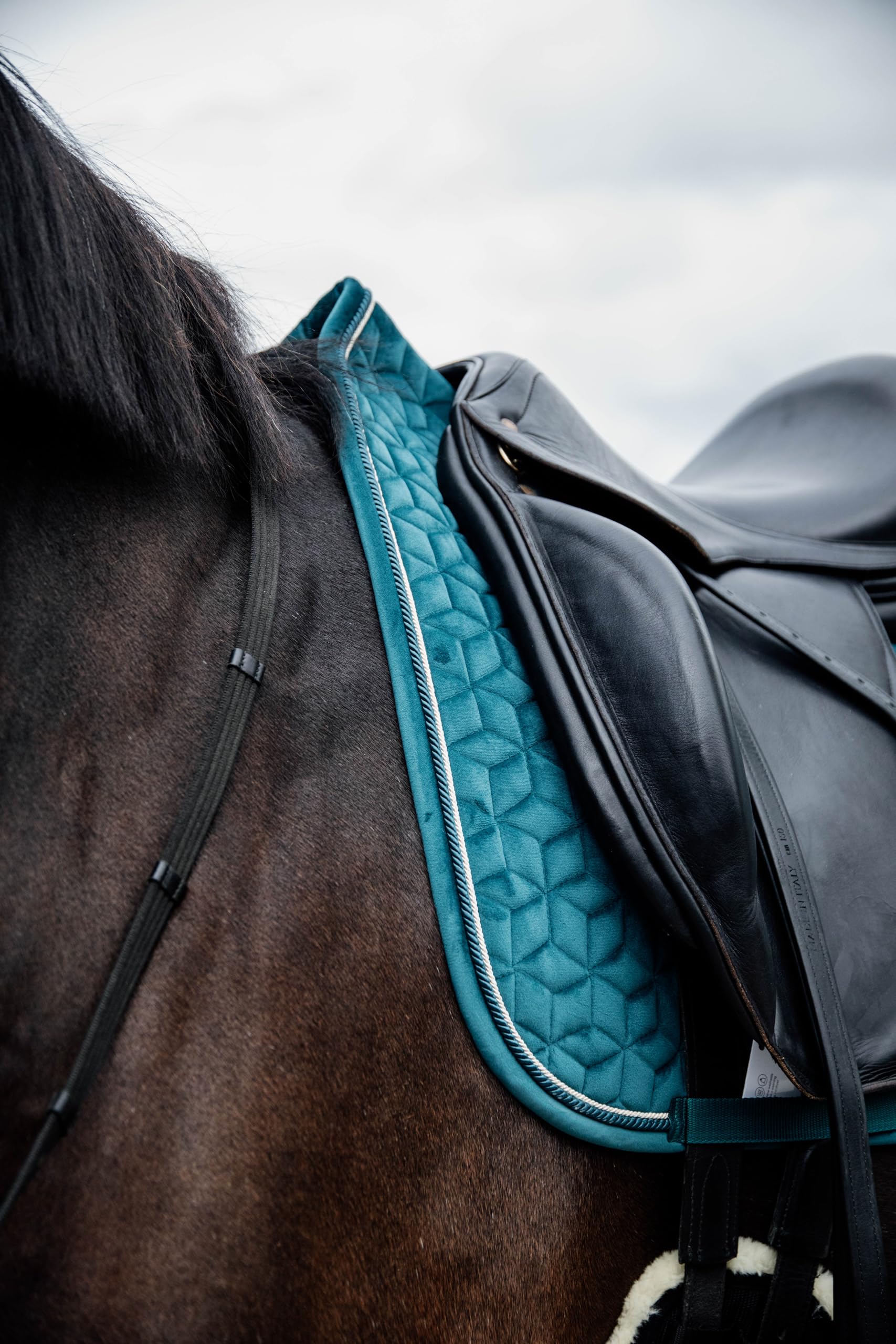 Kentucky Horsewear Tapis de selle en velours Vert moyen Forme de dressage avec double cordon Respirant Lavable en machine