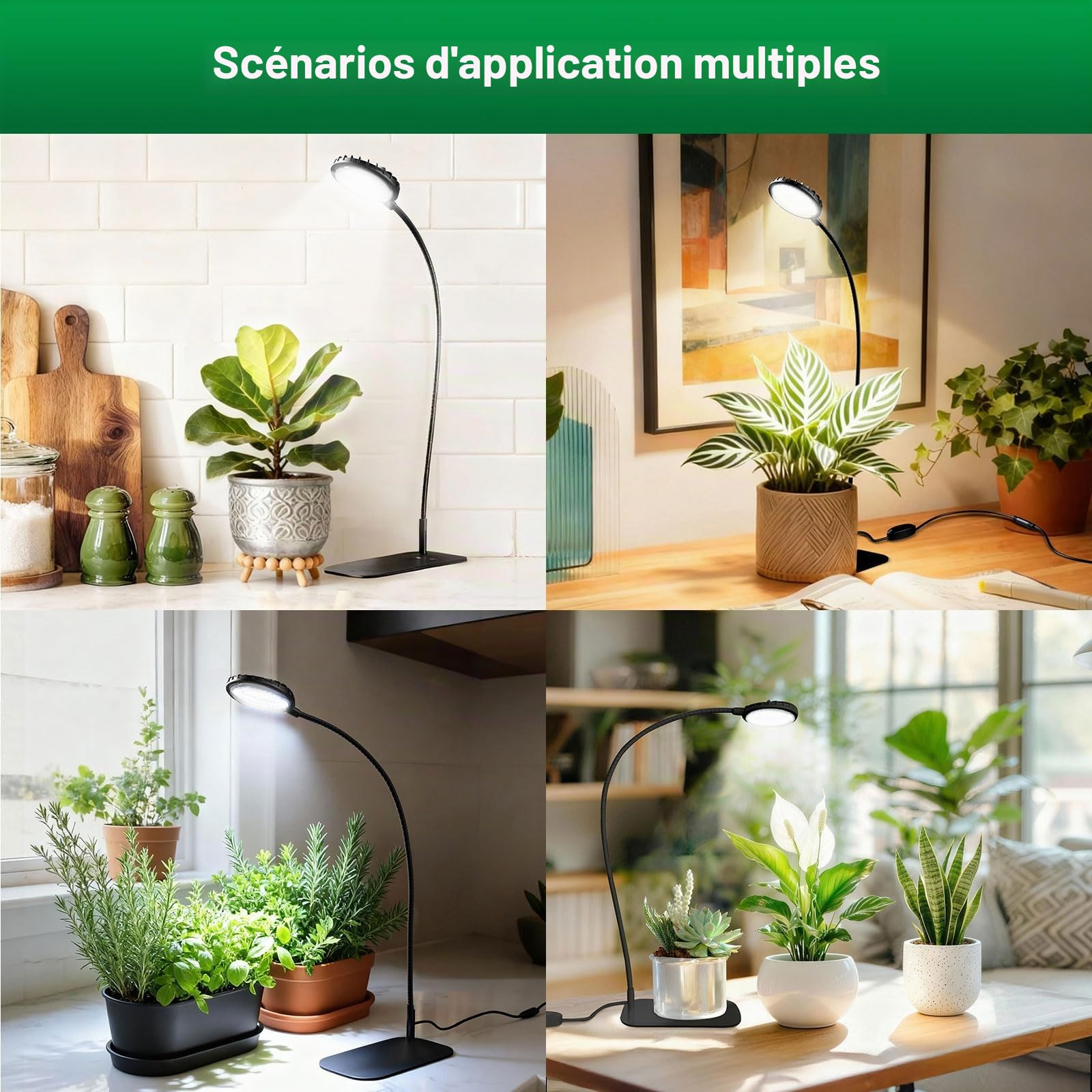 SANSI Lampe de croissance 12W pour plantes d'intérieur, spectre complet, intensité variable, idéale pour les pots de bureau, les plantes grasses et le jardinage d'intérieur, minuterie 3/6/12h