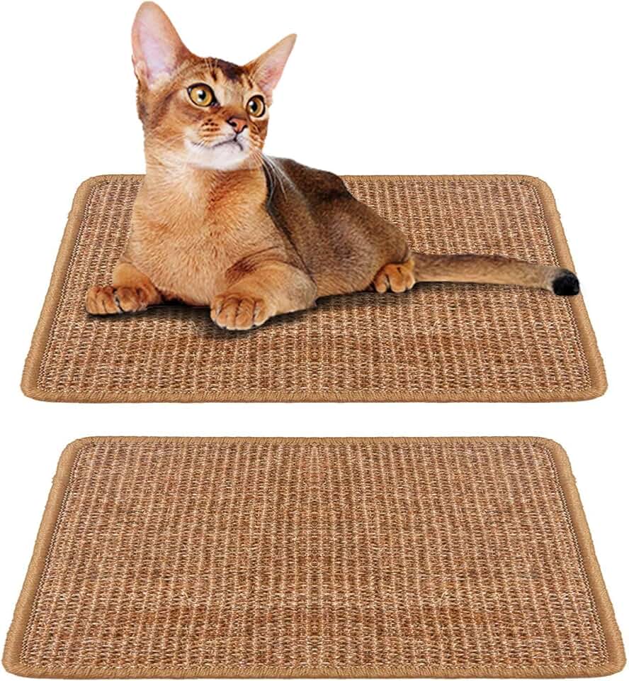 Amazon.co.uk cat stairs