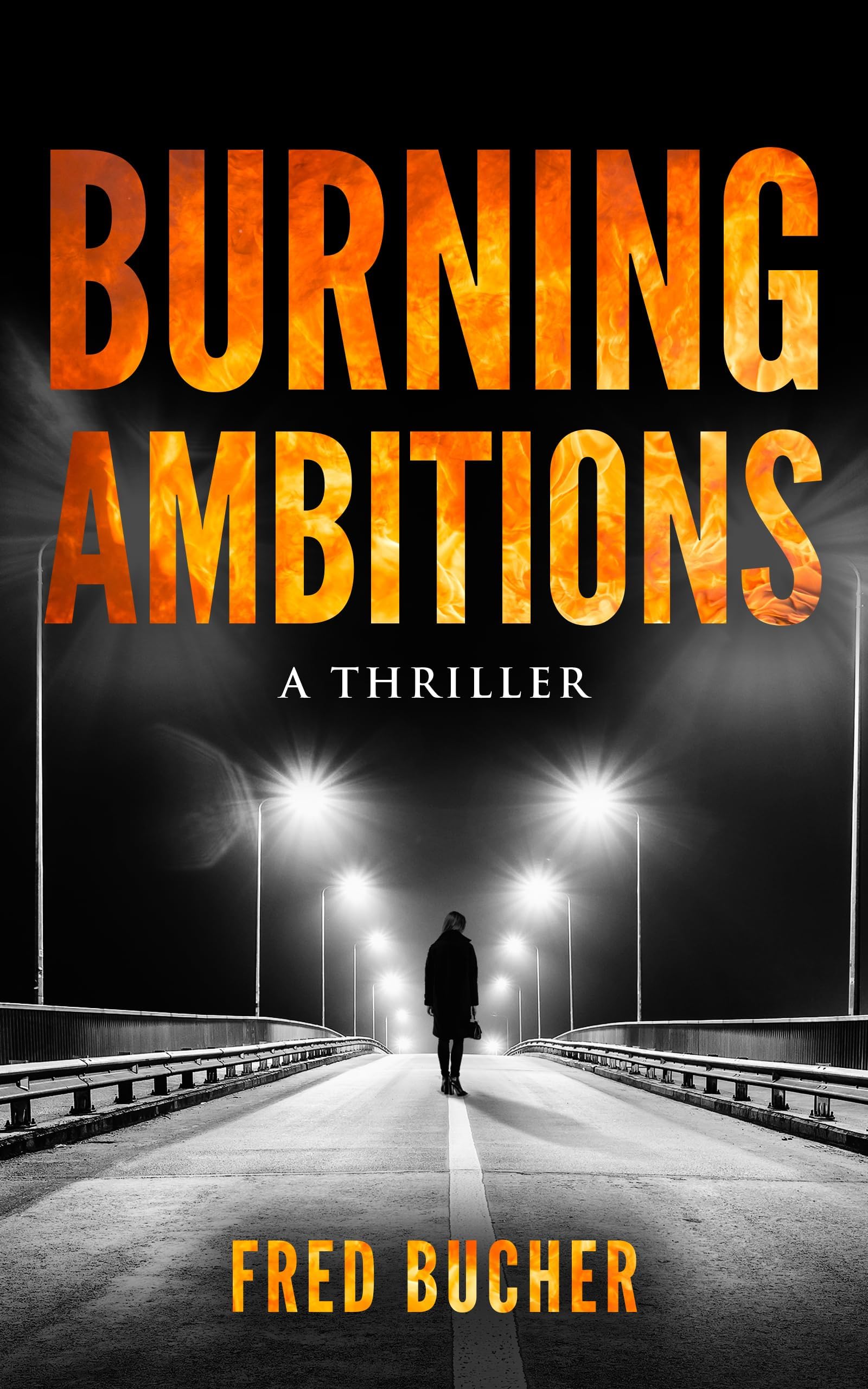 Burning Ambitions: A Thriller
