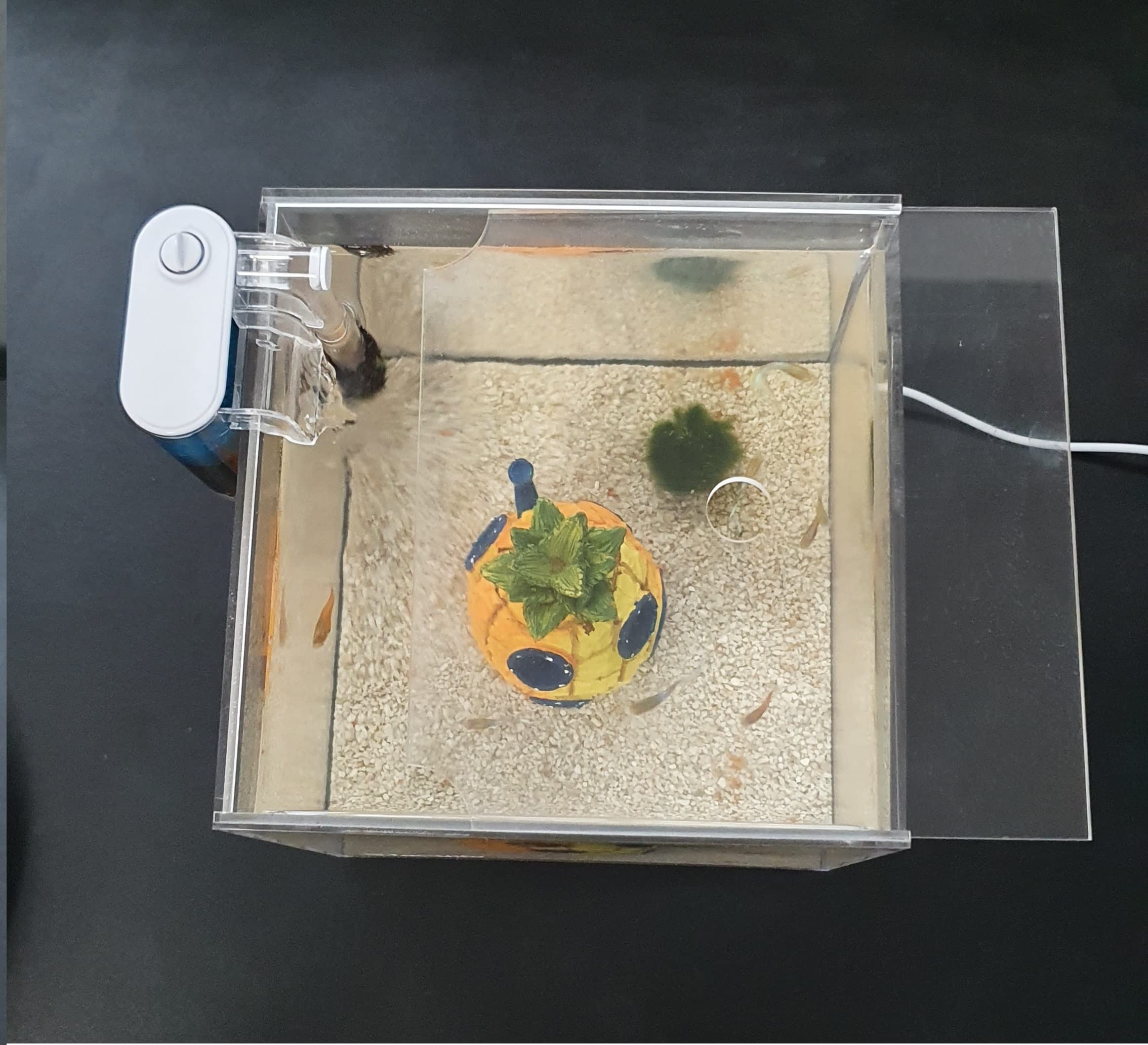 Petit aquarium portable en acrylique avec couvercle coulissant et trou d'alimentation pour terrarium, tortues et insectes 8 l (20 x 20 x 20 cm)