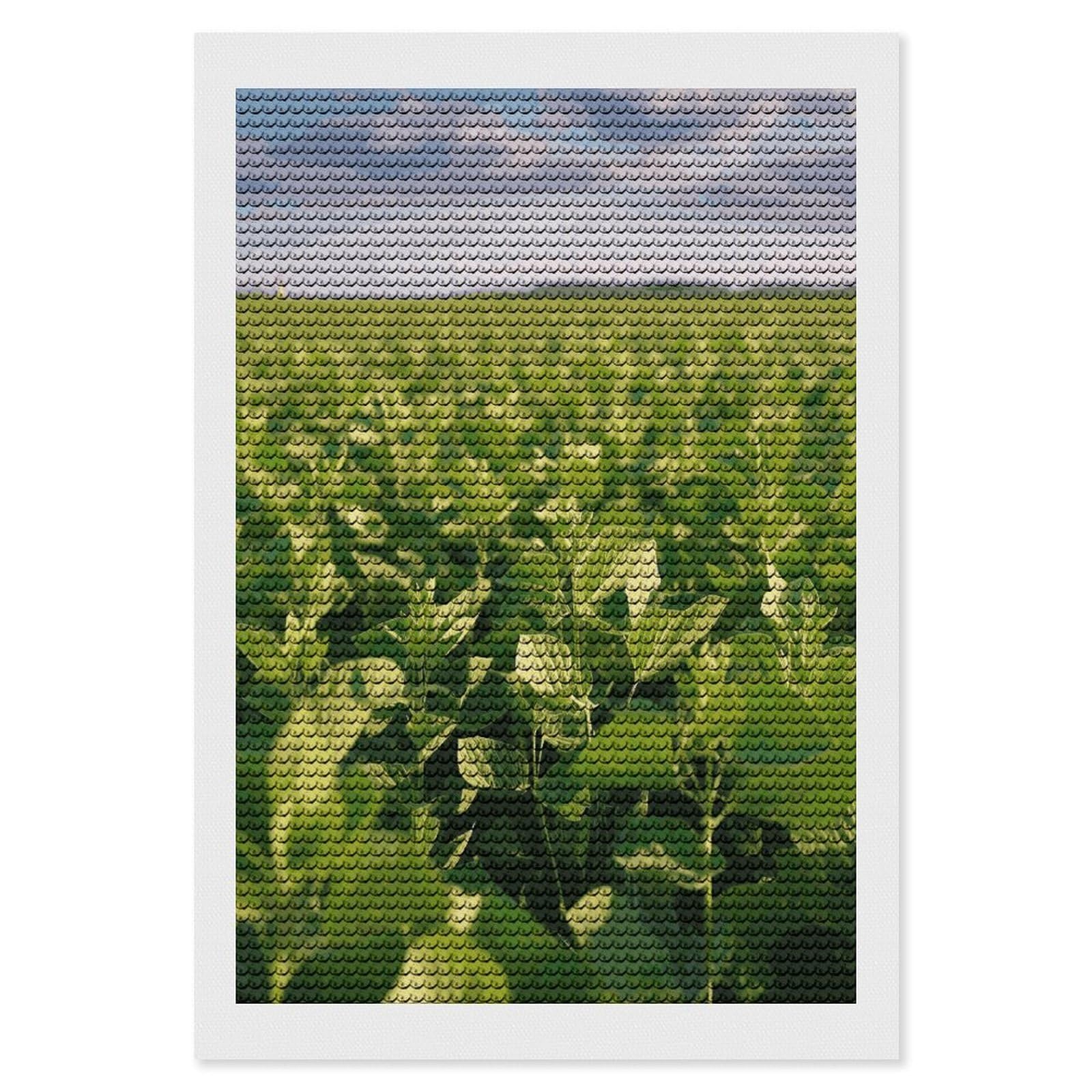 LDGSUPH Soybean Field Diamond Painting Kits for Adults Paint with Diamond Pictures Art DIY Full Drill Diamond Dots Painting Personalized Diamond Photo for Home Wall Decor Gift 8"x12"