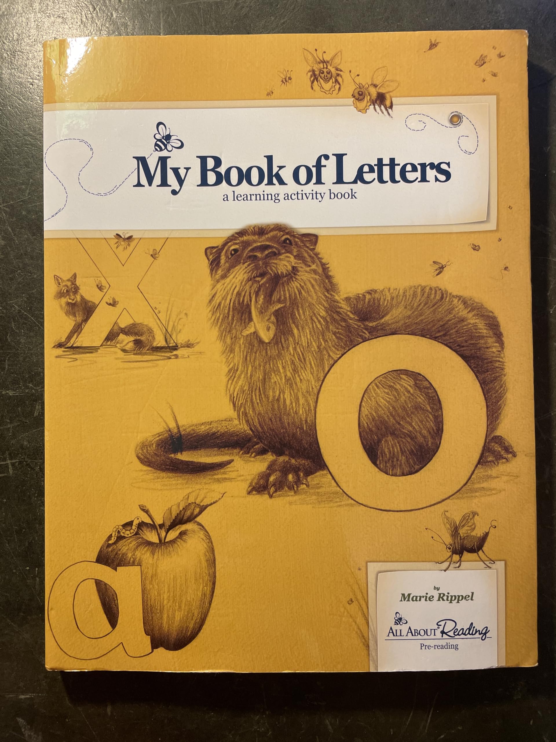 All About Reading Activity Book Pre-reading