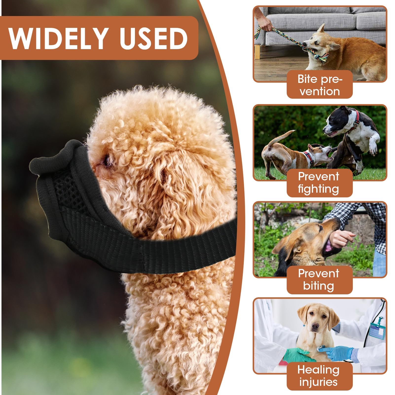 Anti Morsure Muselière Dog Muzzle, Musoliaire Petit Chien Nylon Legere Souple Museliere Réglable Anti Aboiement Intoxication Chiens pour Teddy Bear Shih Tzu Jack Russell Terrier Teckel Nain (S)