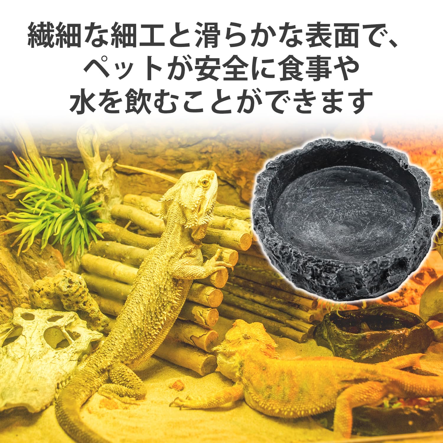 Amazon | PAVIKE 爬虫類 水入れ 爬虫類 餌入れ 爬虫類用 水飲み皿 自然