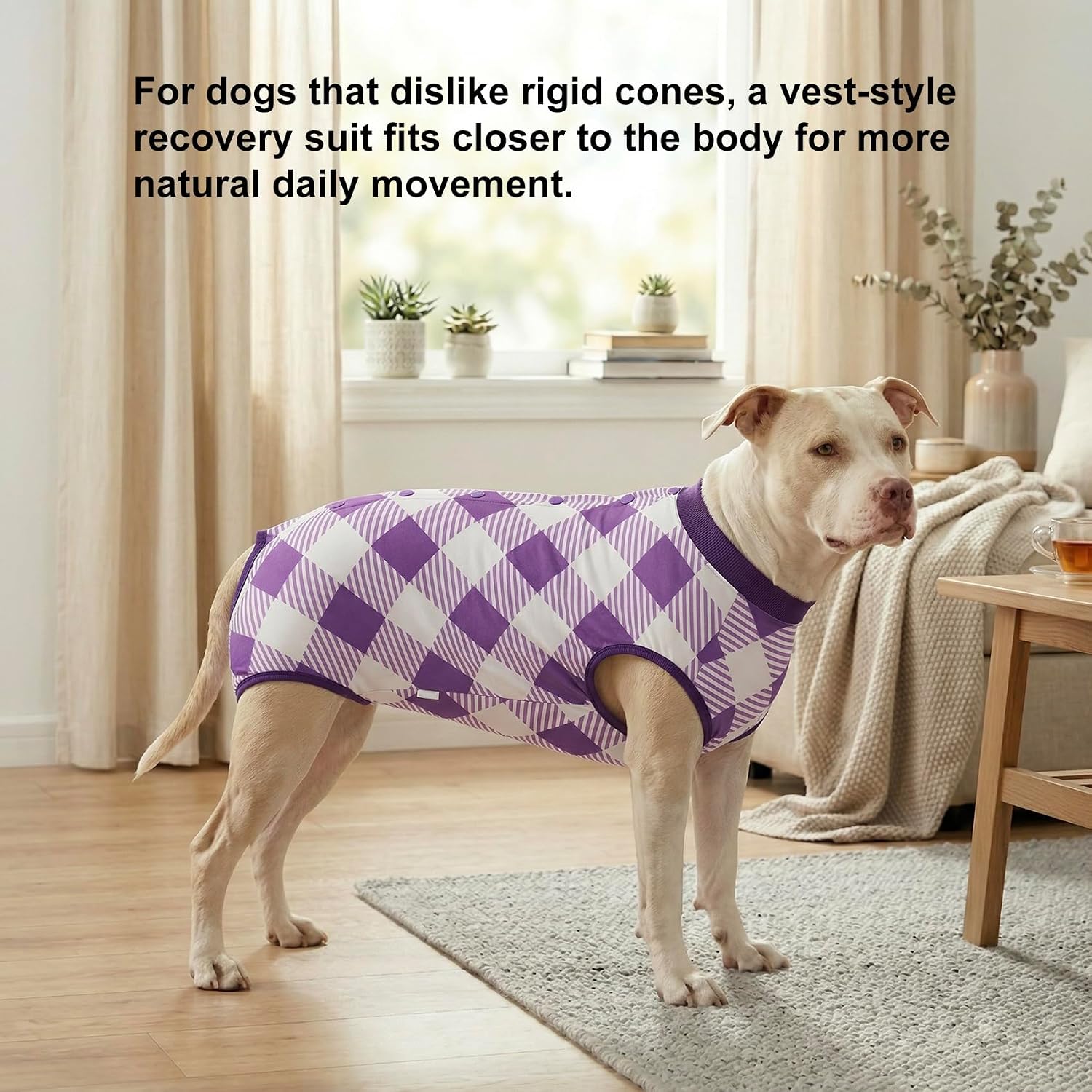 LovinPet Female Dog Recovery Suit for Spay and Post-Op Rest, Plaid Belly Coverage Bodysuit with Soft Cushion Panel, Post-Surgery Clothes for Large Dogs, Purple, L