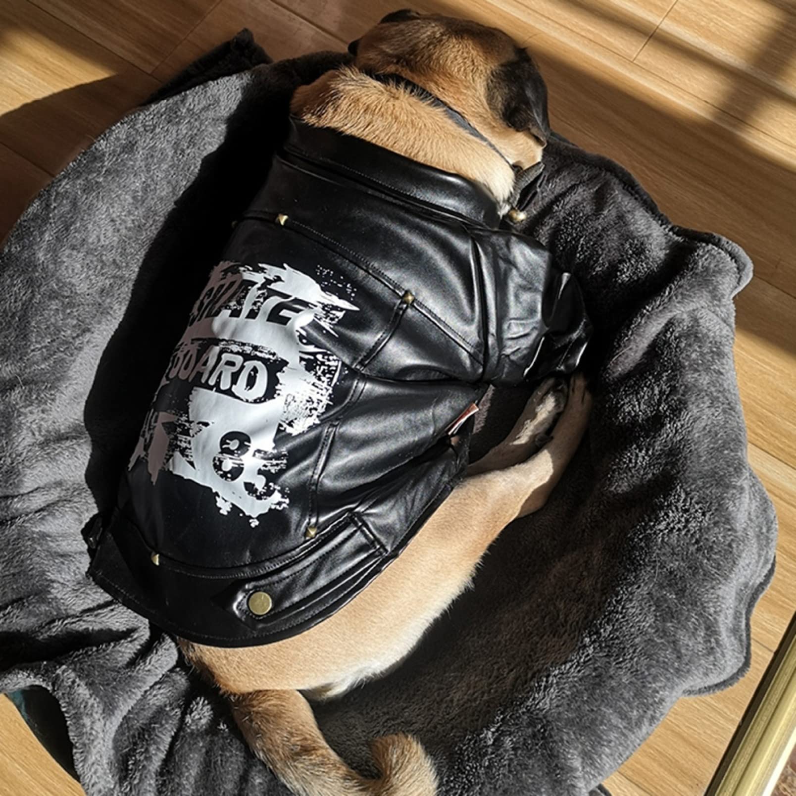 Amazon | 犬コート レザージャケット ペット服 秋冬 裹起毛 屋外