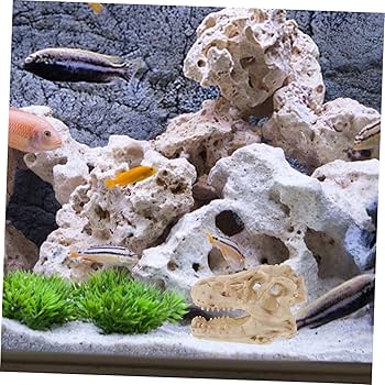 恐竜の頭部模型 Amazon.co.jp: 恐竜の頭蓋骨の彫刻 - 恐竜の頭蓋骨モデル T