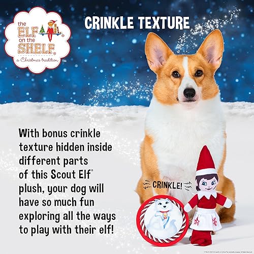 Miniatura 3 de The Elf on the Shelf Juego de 2 juguetes para perros con elfo explorador elástico + Elf Pets Arctic Fox disco plano de felpa, juguetes chirriantes