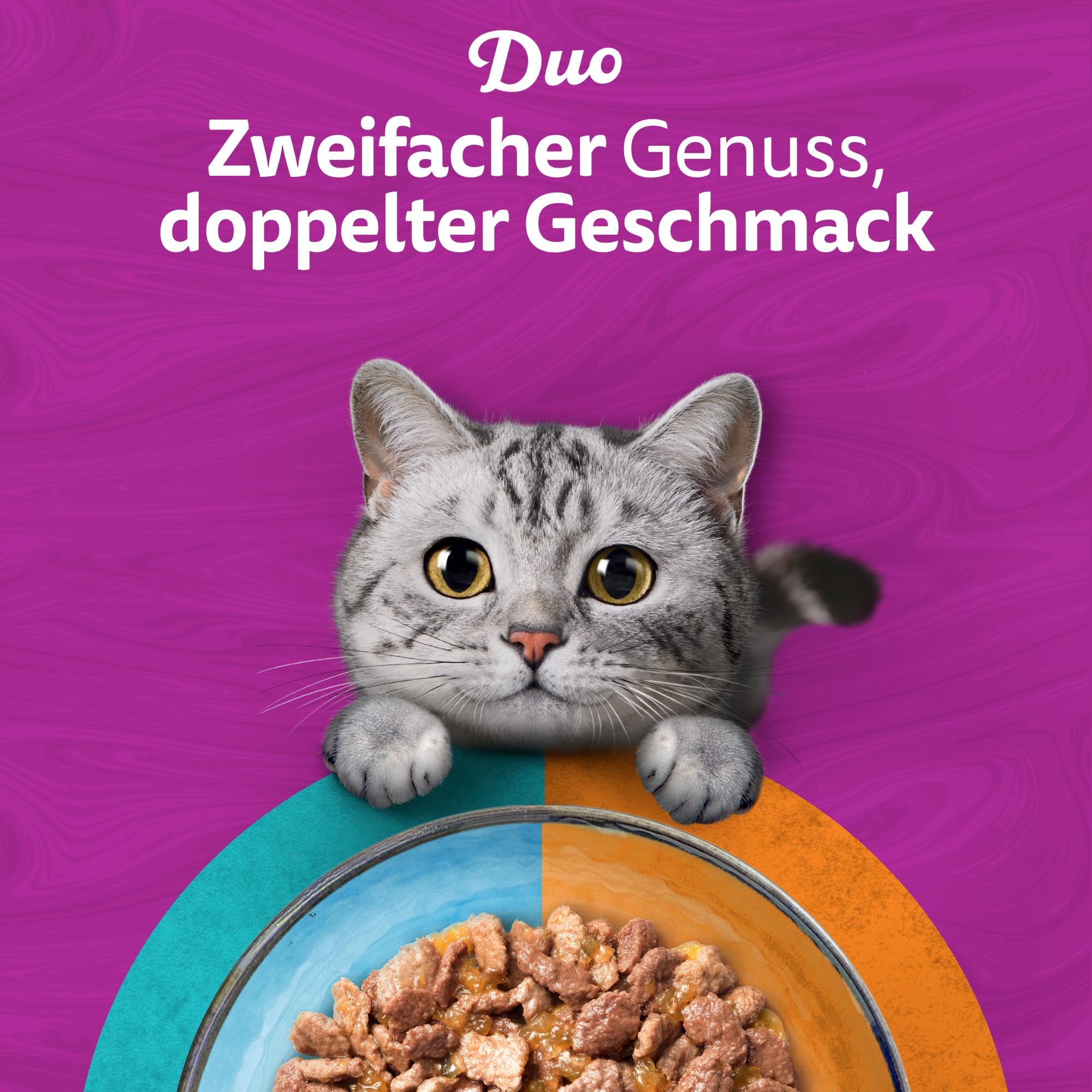 Whiskas Adult 1+ Katzennassfutter Tasty Duo Surf & Turf in Gelee, 84 Portionsbeutel, 84x85g (1 Großpackung) – Hochwertiges Katzenfutter nass, für ausgewachsene Katzen