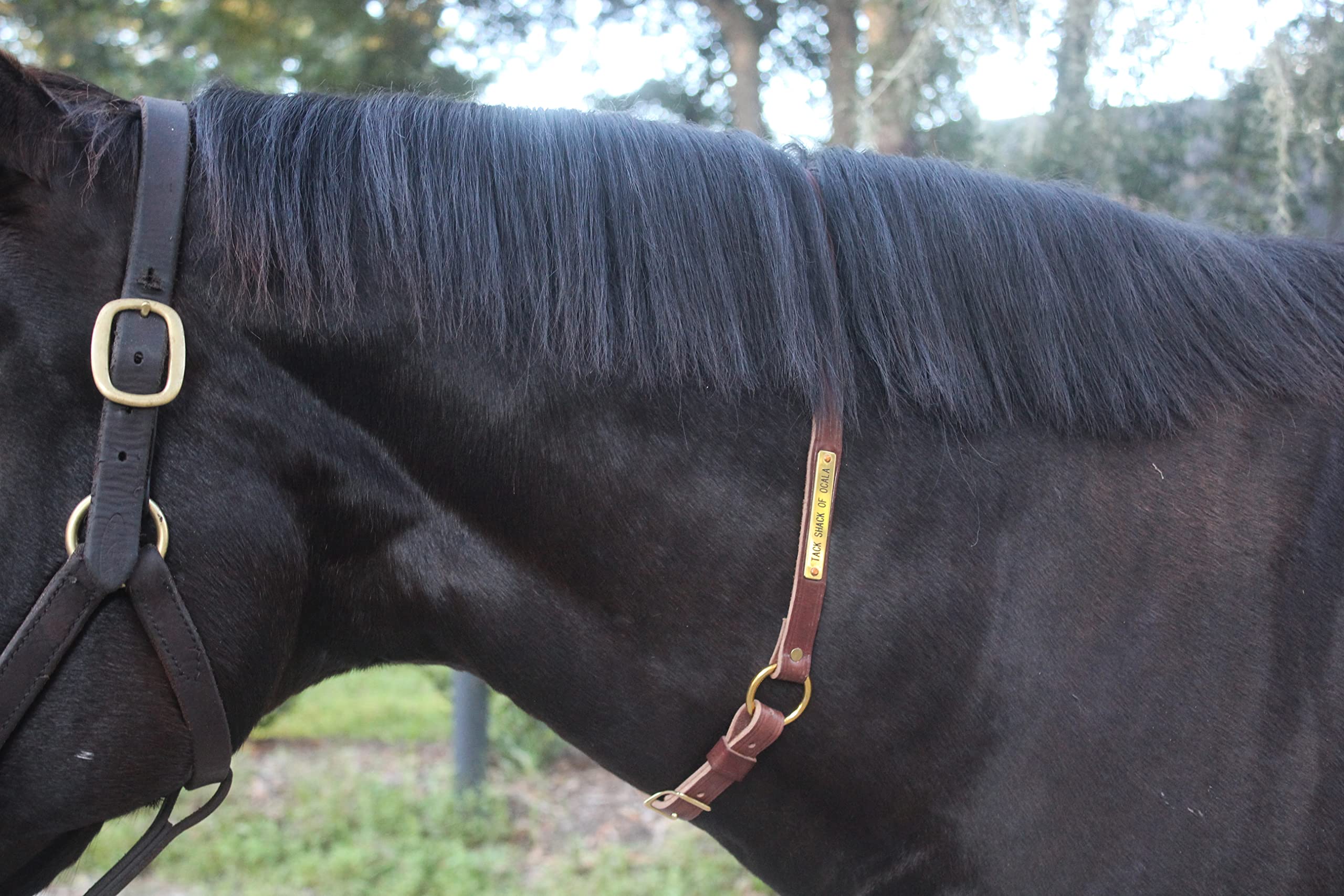 Tack Shack of Ocala Neck Straps with Custom Engraved Name Plate for