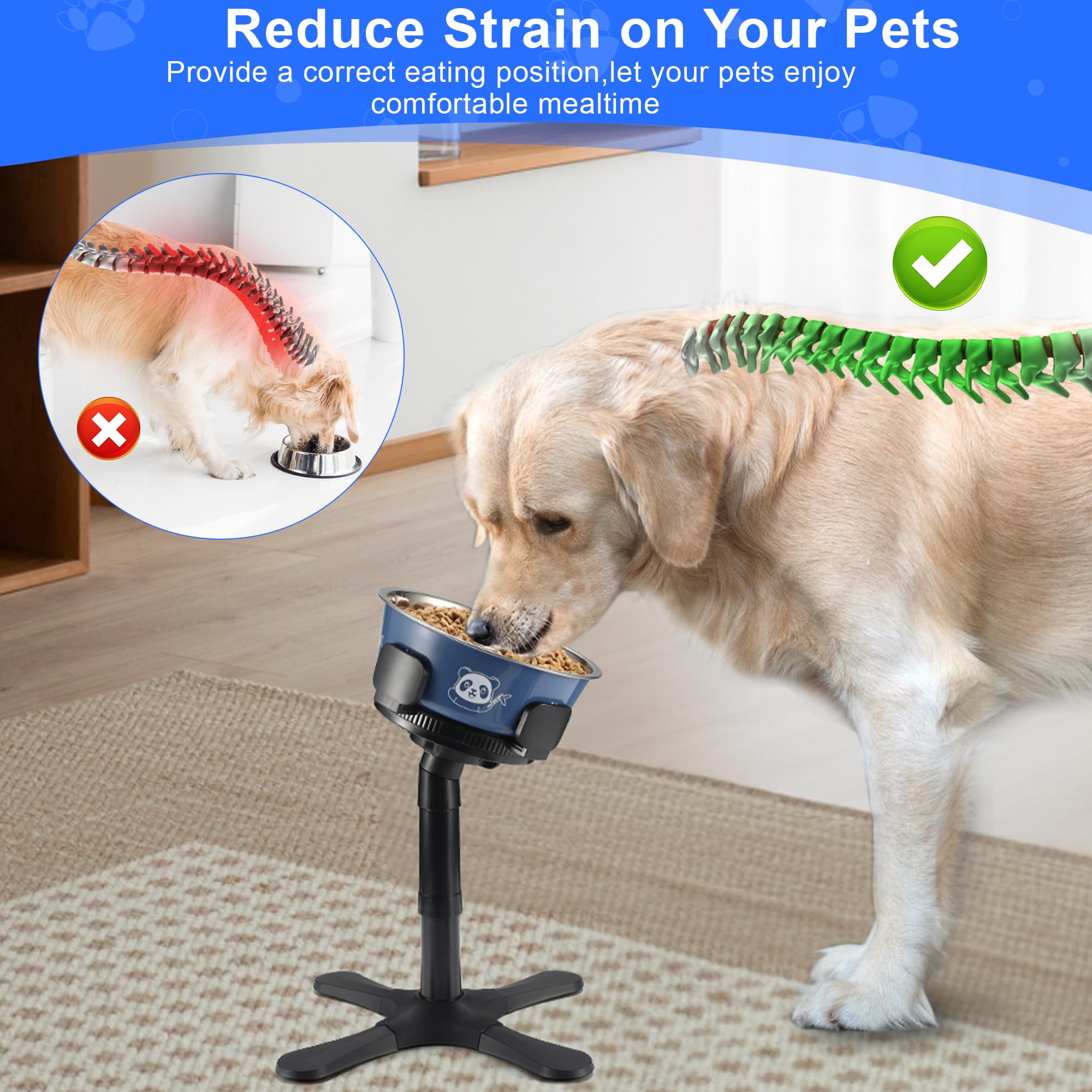 Höhenverstellbarer Hundenapf-Ständer | Für Mittelgroße Bis Große Hunde | Mit Abnehmbaren Näpfen