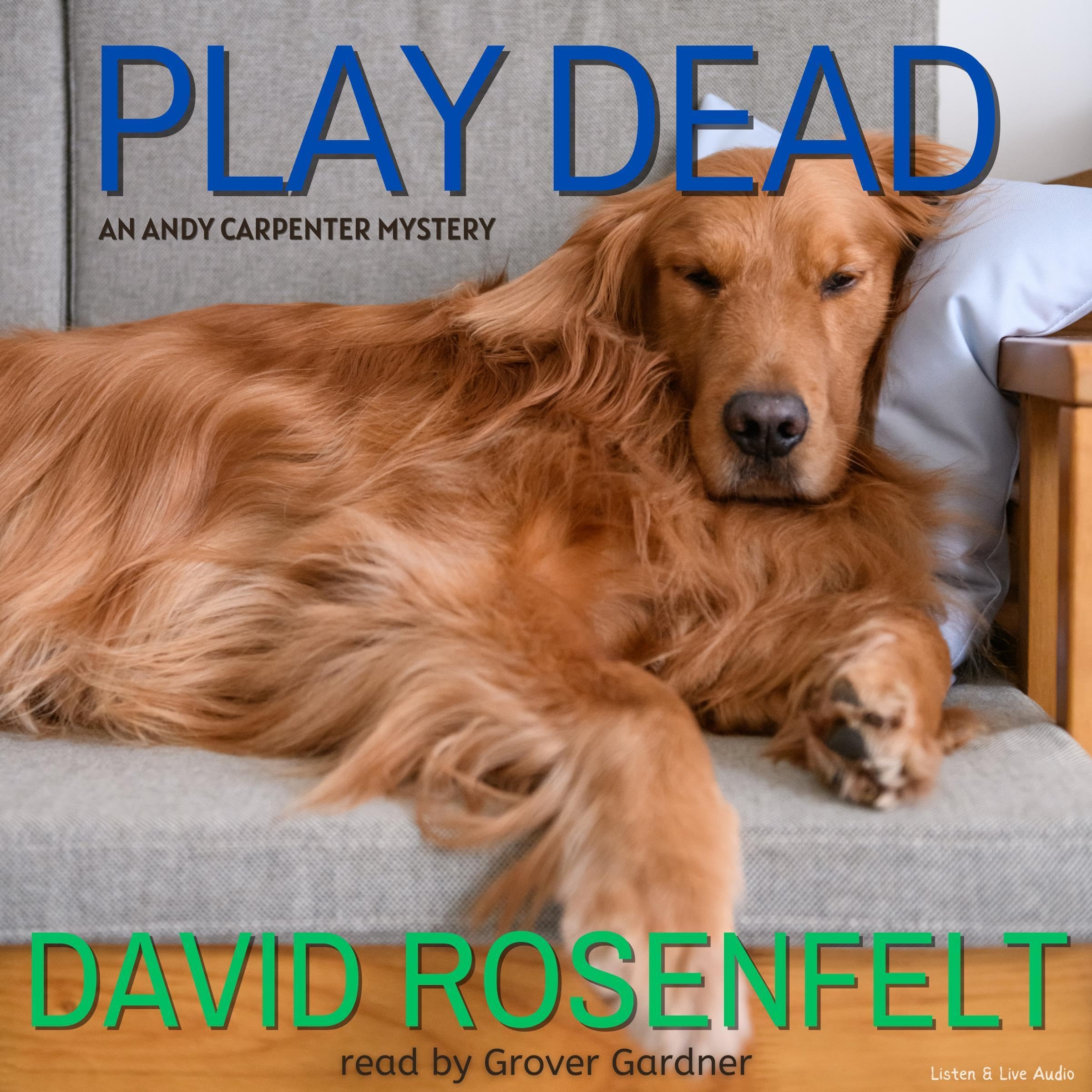 Cover art for Play Dead