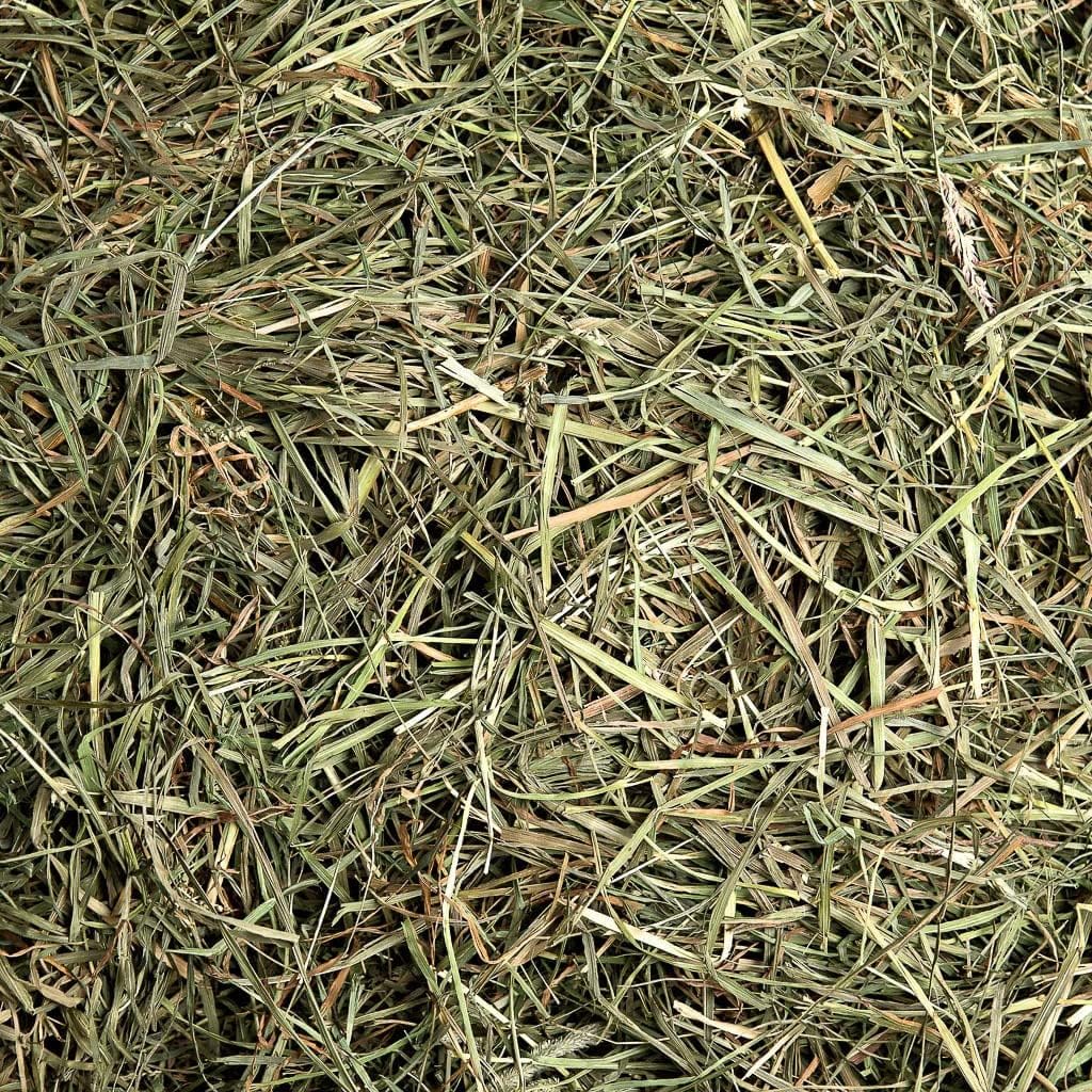 Small Pet Select 3Rd Cutting "Super Soft" Timothy Hay Pet Food, 2 Lb., green, 2 Pound (Pack of 1), 32 Ounce