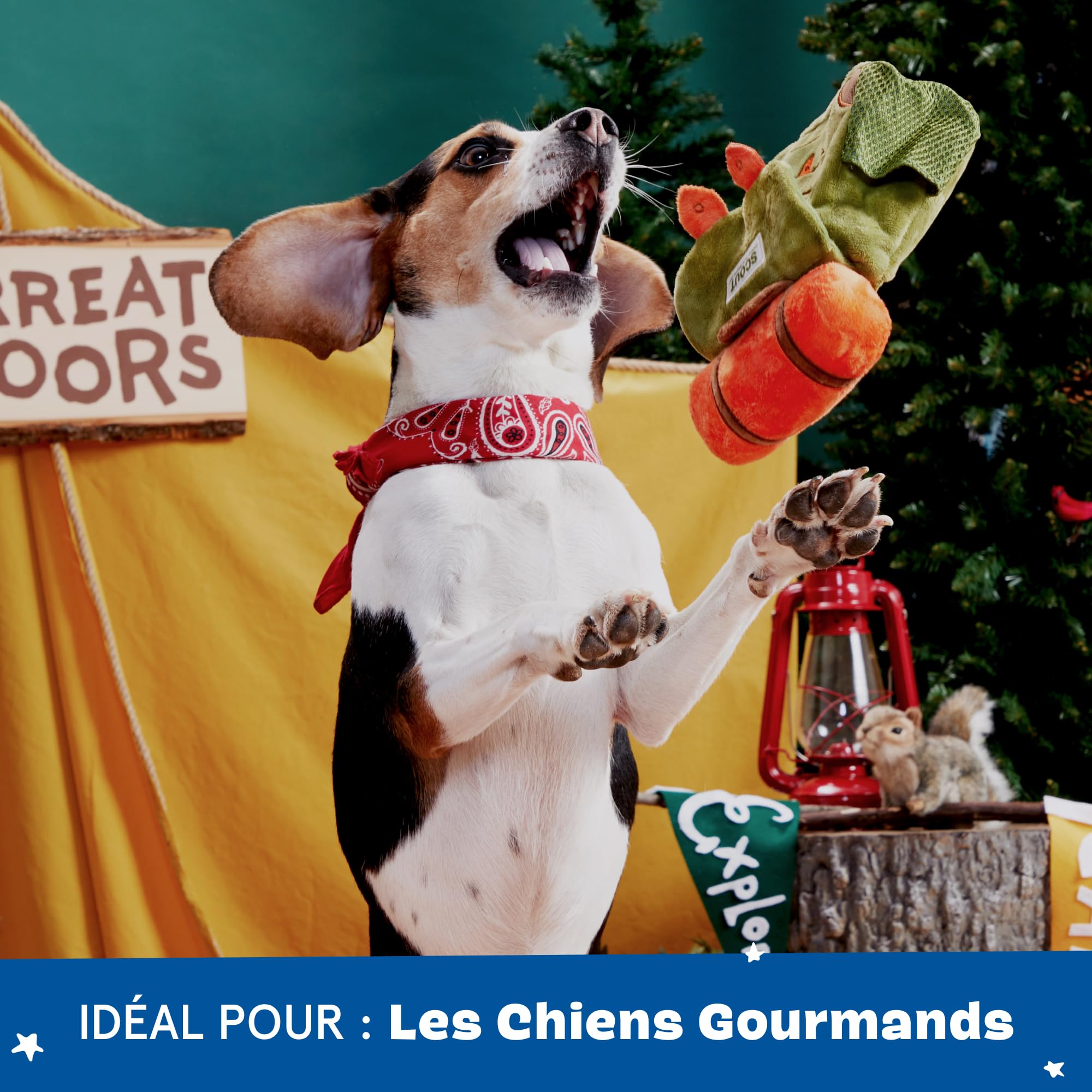 BARK Scout Camping Sac à dos en peluche pour chien Vert et orange Taille S/M