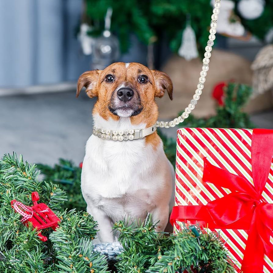 Amazon.com : Weewooday 2 Pcs Dog Wedding Collar with Leash