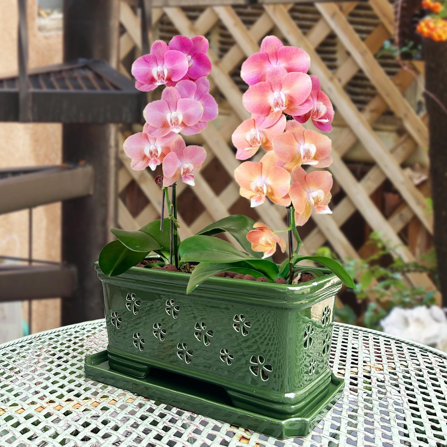 Ceramic Orchid Pot 10 * 4.3 * 4.3Inch Orchid Planter with Holes for Repotting Indoor Flower Plant Pot with Drainage and Saucer, Arctic Green