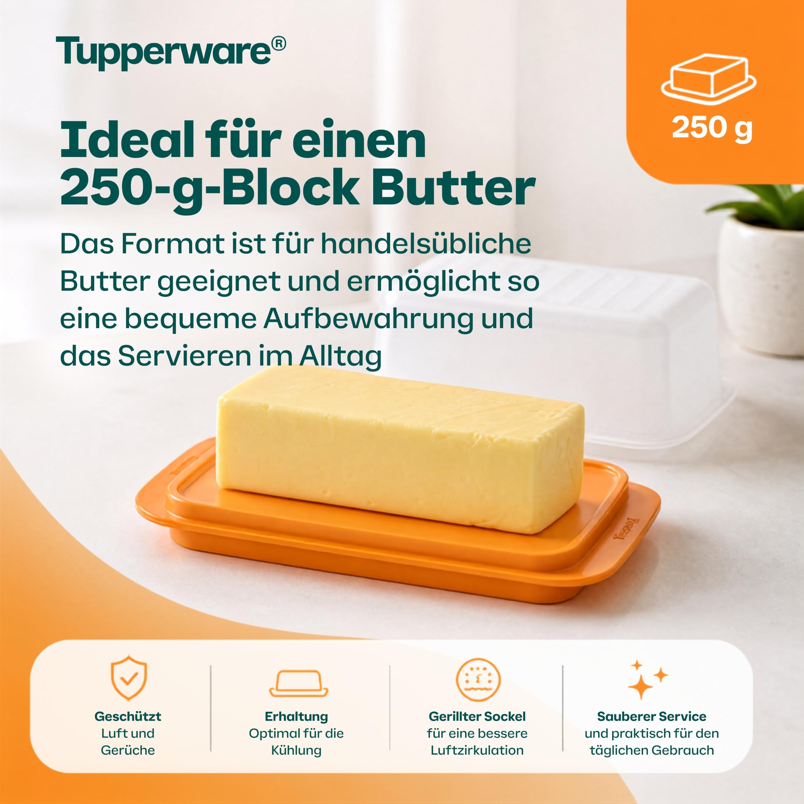 Tupperware Butterdose in Orange/Weiß - Butterbox mit Deckel für 250 g Butter - Kunststoff, beidseitig nutzbare Platte, spülmaschinengeeignet - 16,5 x 11 x 7 cm