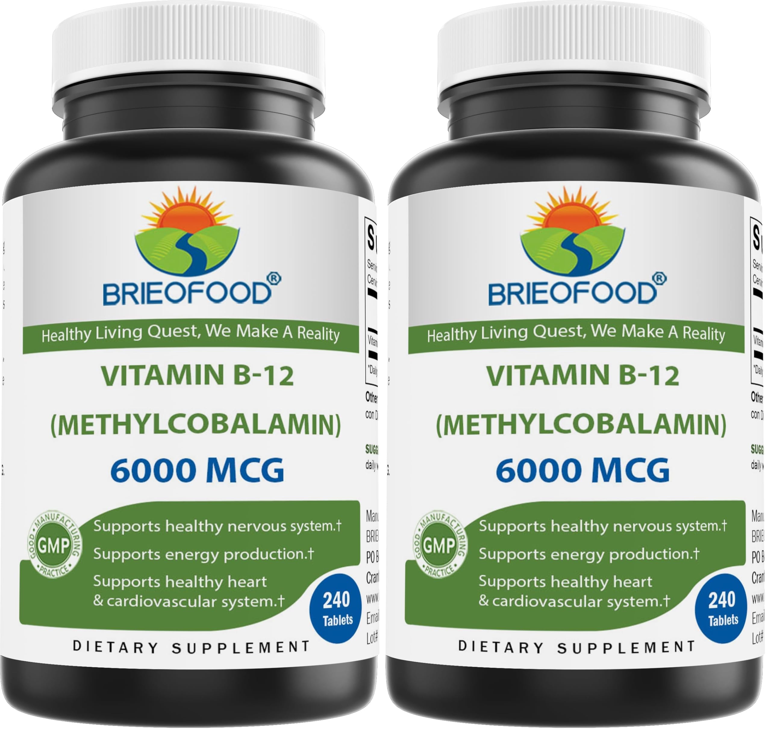 Brieofood Vitamin B-12 (Methycoballamin) 6000 mcg- 240 Tablets. Non-GMO, and Gluten Free (Pack of 2) 240 Count (Pack of 2)