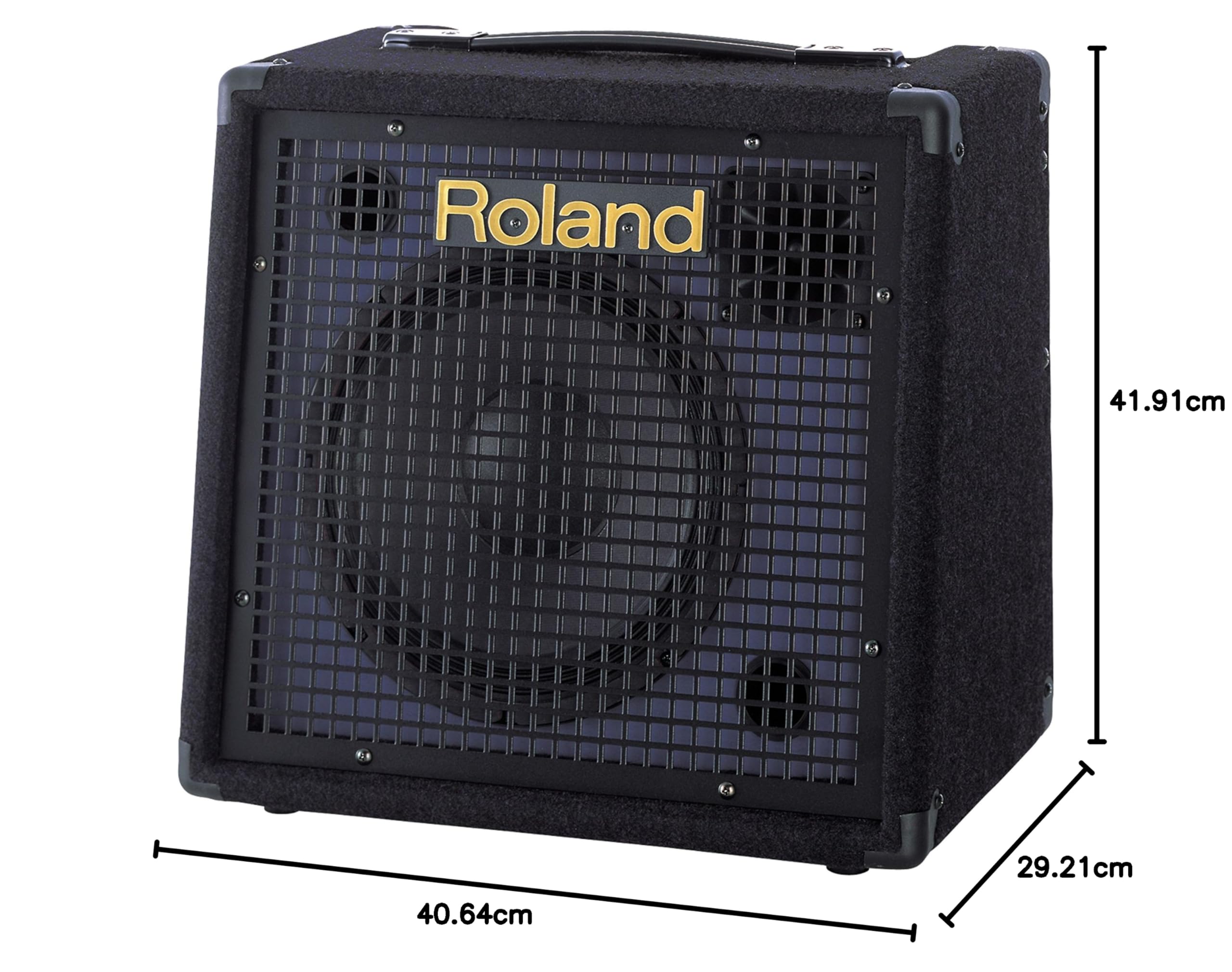 Roland KC-60 Keyboard Amplifier : Amazon.in: Musical Instruments