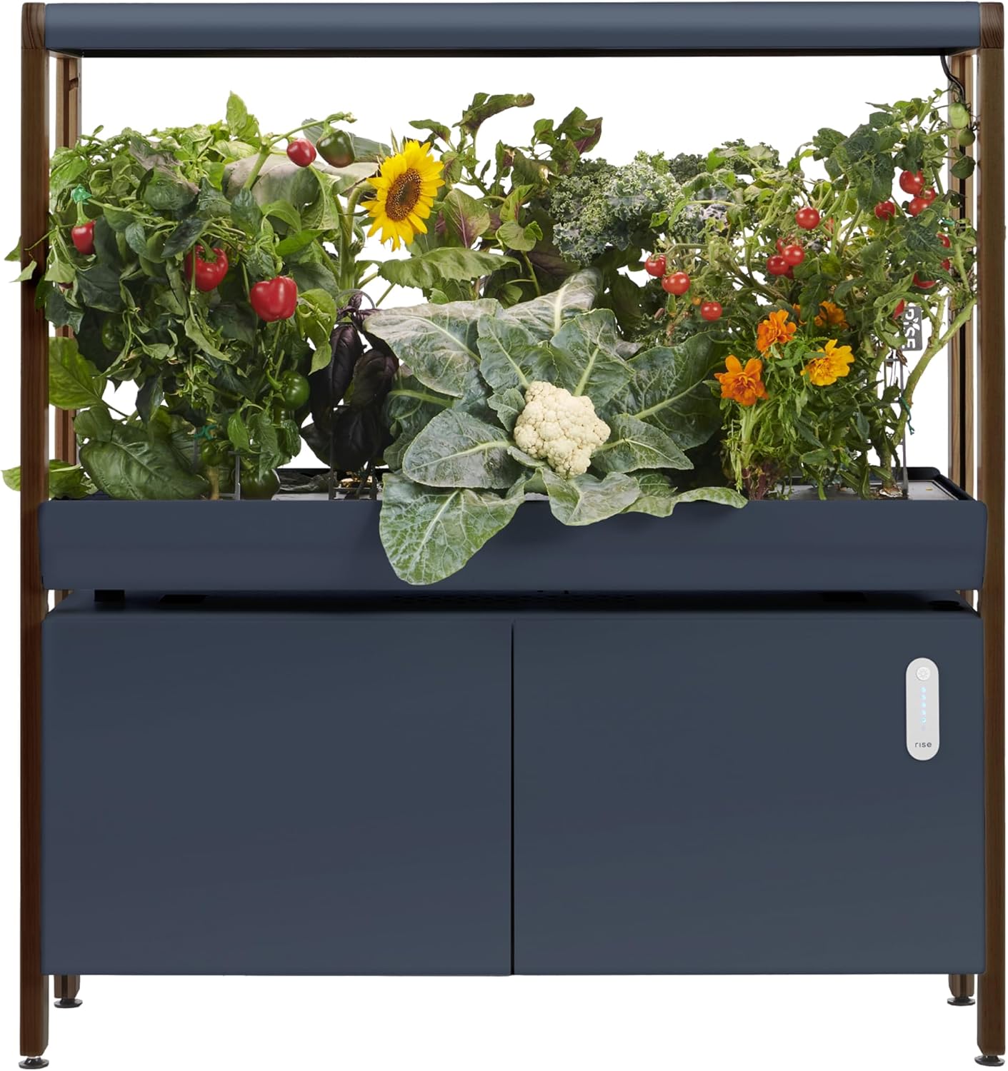 Rise Gardens 1 Level Garden Hydroponic Indoor Garden Kit with LED Grow Light, Charcoal Color