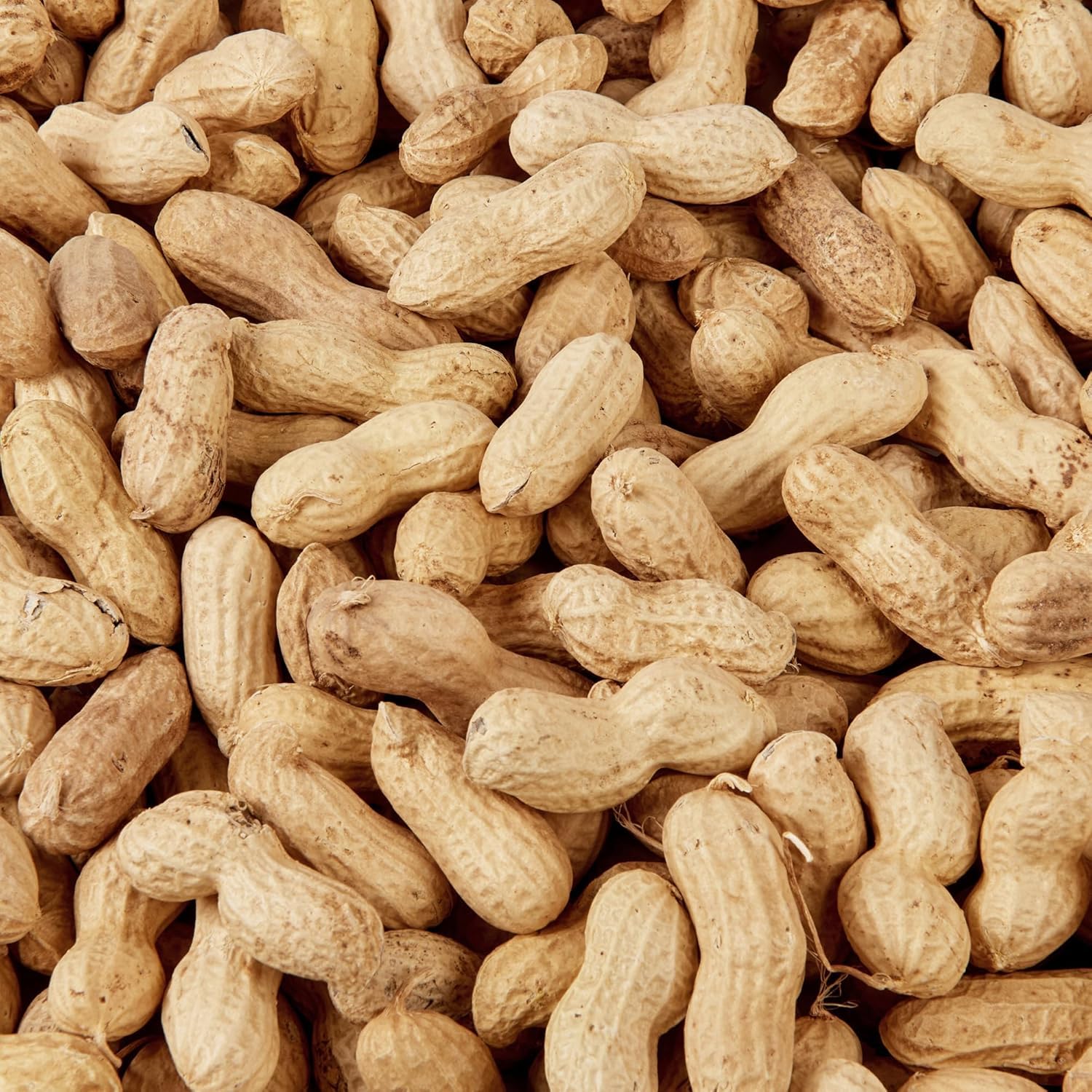 Wild Bird Food 1kg Peanuts in Shell – High Energy Whole Peanut Feed for Garden B