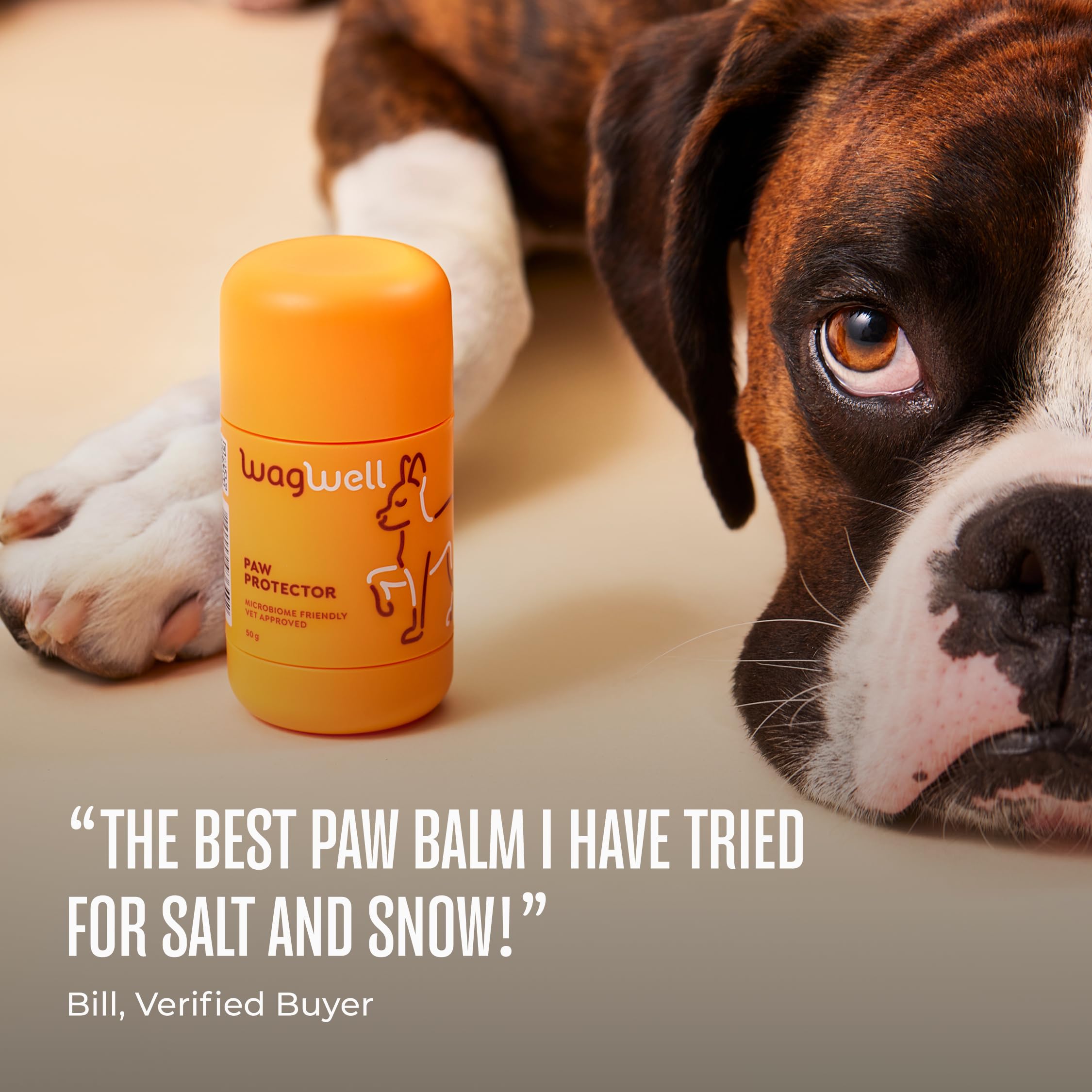 WagWell Paw Protector Dog Paw Balm | Lick-Safe, Vet-Approved Paw & Nose Balm | Microbiome-Friendly, Dermatologist Tested | Hot Pavement & Cold Weather Protection | To Hydrate, Condition & Protect Paws - image 7