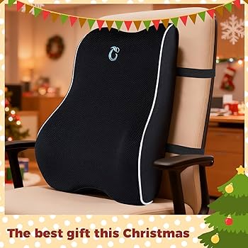 Amazon.com: Lumbar Support Pillow for Office Chair & Car