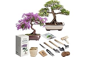 Bonsai Growing Seed Kit for Japanese Bonsai Trees