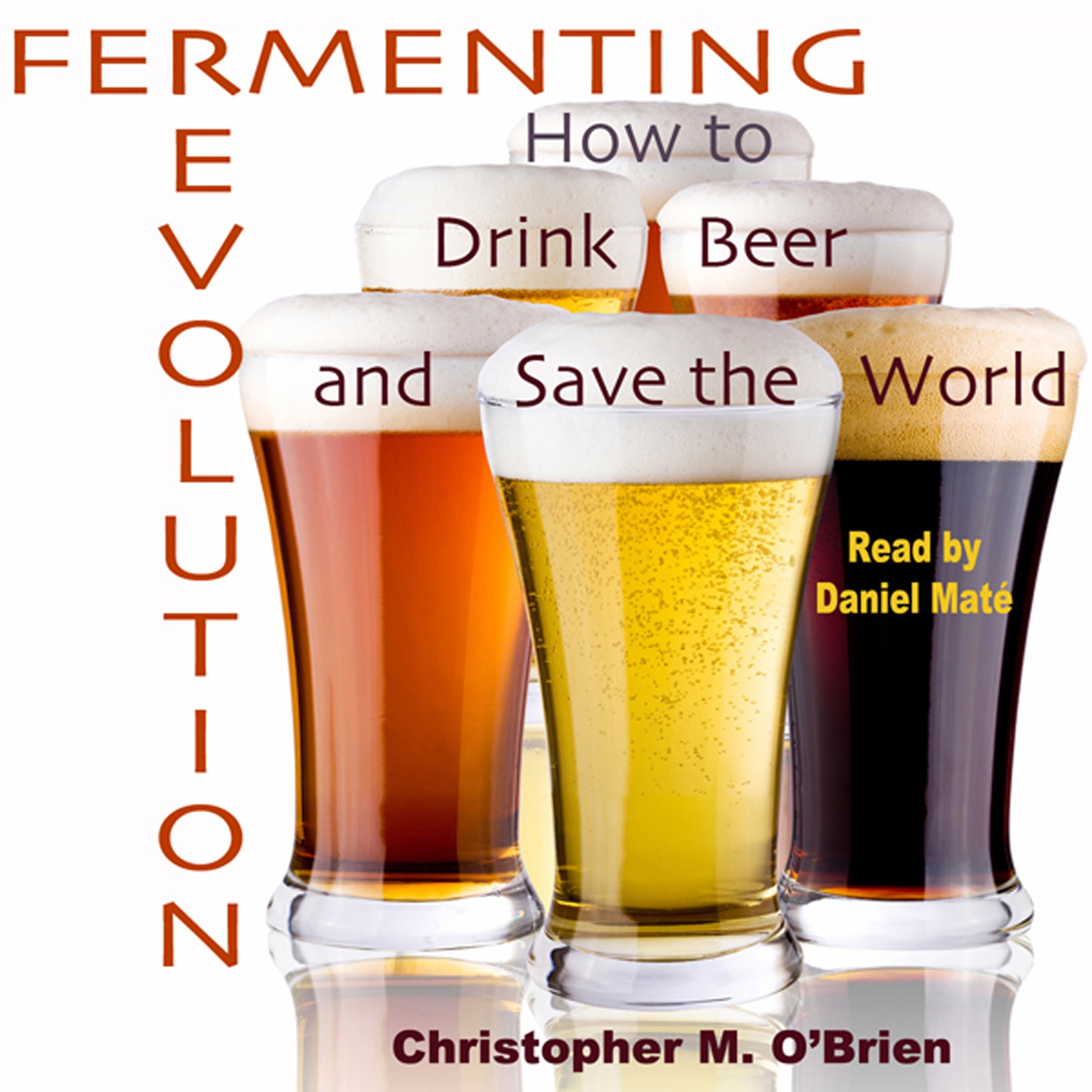 Cover art for Fermenting Revolution