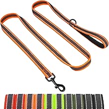 X XBEN Dog Leash, 20MM-2.2M Heavy Duty Reflective Leash with Padded Handle, Training Leash for Puppies, Small, Medium and Large Dogs, with Soft Rubber Threads, Orange