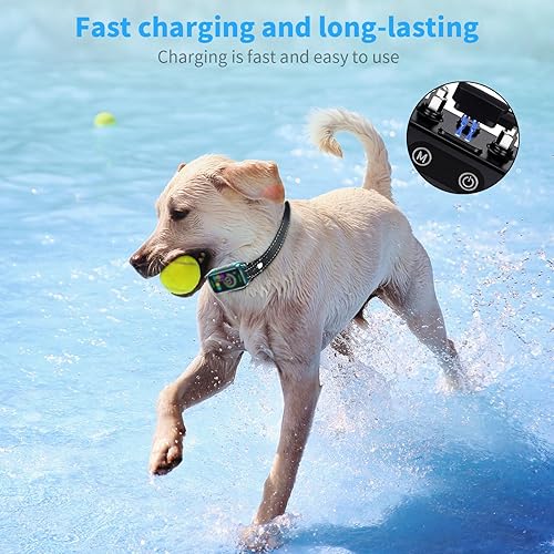 Miniatura 4 de MEROM Cargador de collar de perro compatible con DINJOO, cable de carga magnético para collar de choque de perro, negro, 1.9 pies