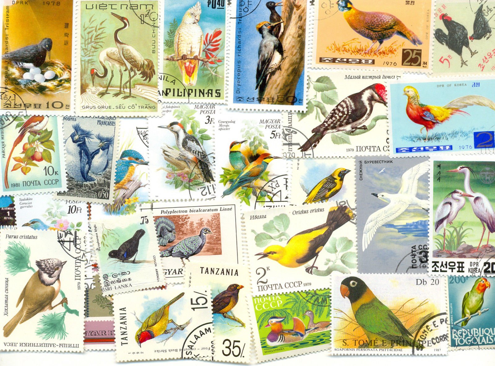 Ihc Theme Birds 50 Different Stamps All Large - Multicolor (B01D5646BO) Amazon Price History, Amazon Price Tracker